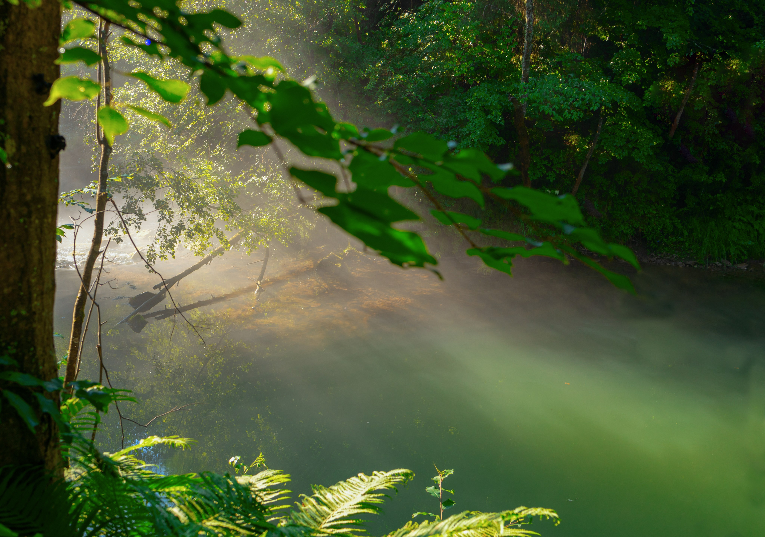 Сплав по Чусовой