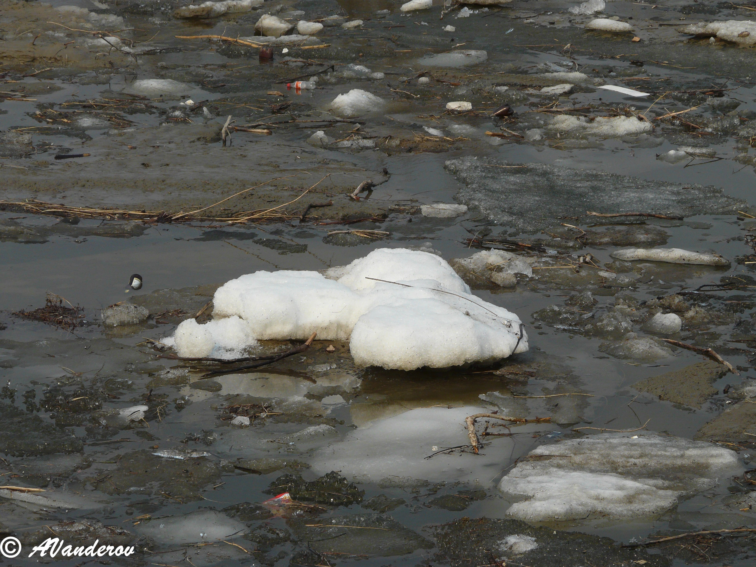 Омск 2008. Фотограф Омск | Александр Вандеров
