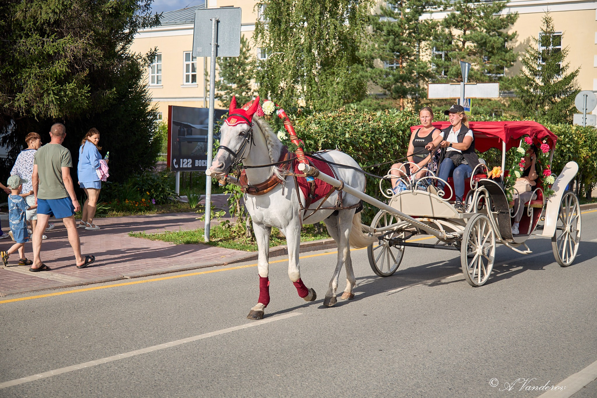 День города 2025. Фотограф Омск | Александр Вандеров