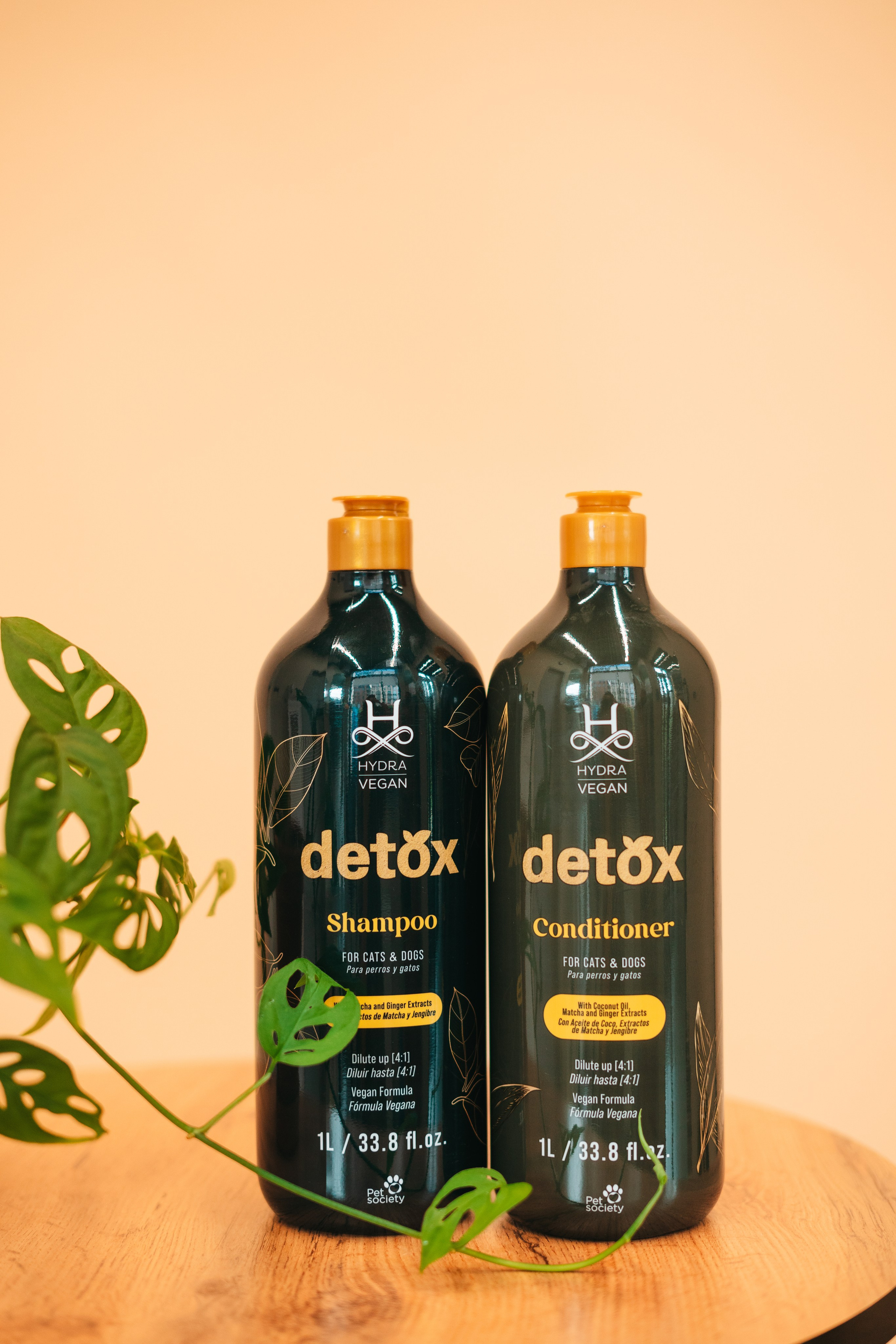 Груминг — салон. Фотограф анималист Осипчикова Мария