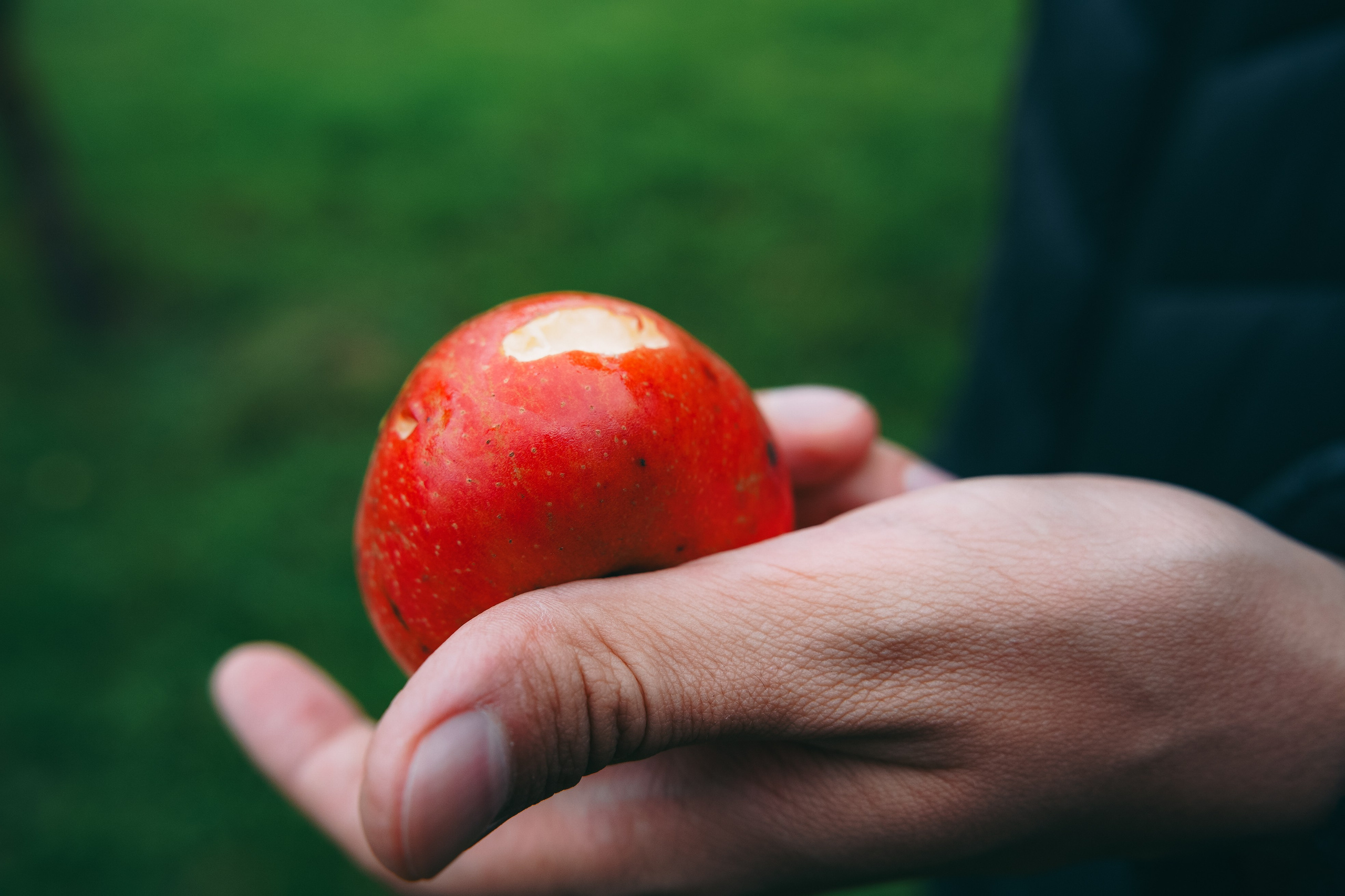 Осень 2025. Фотограф из Москвы — DASHA NOVA | Авторская фотография в разных жанрах