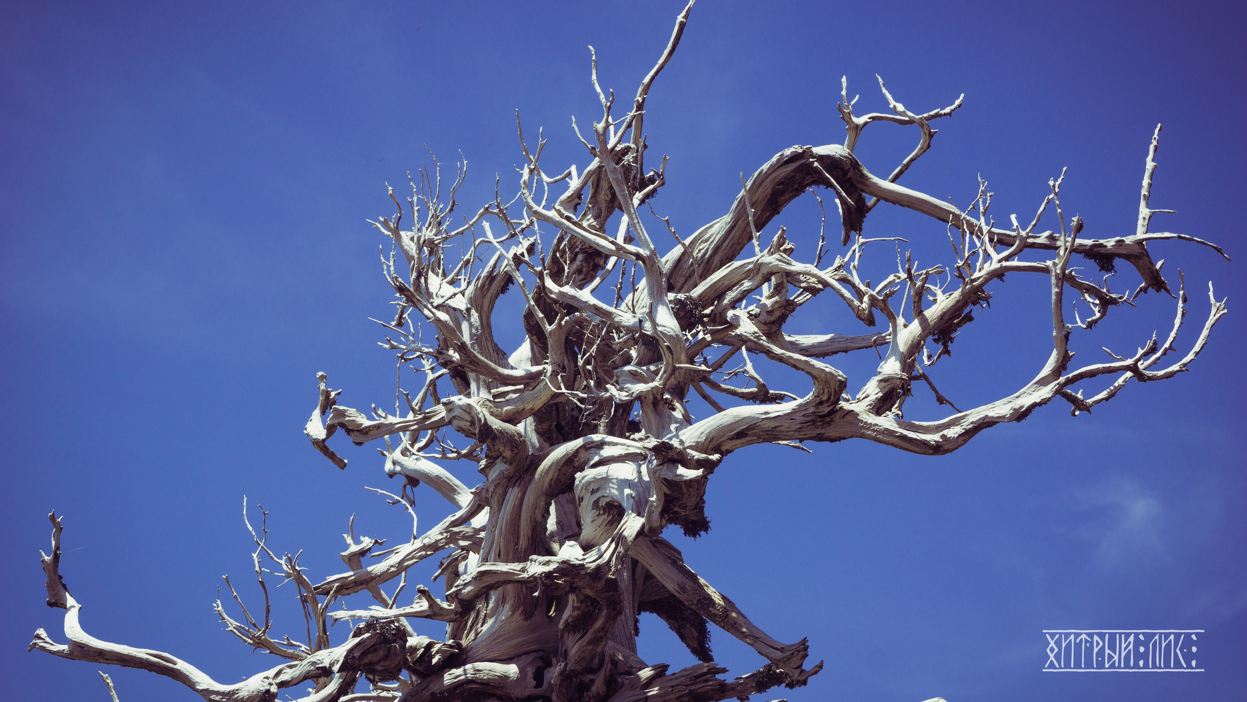 Кипр. Фотограф-путешественник Самойлов Максим «Sly Fox»