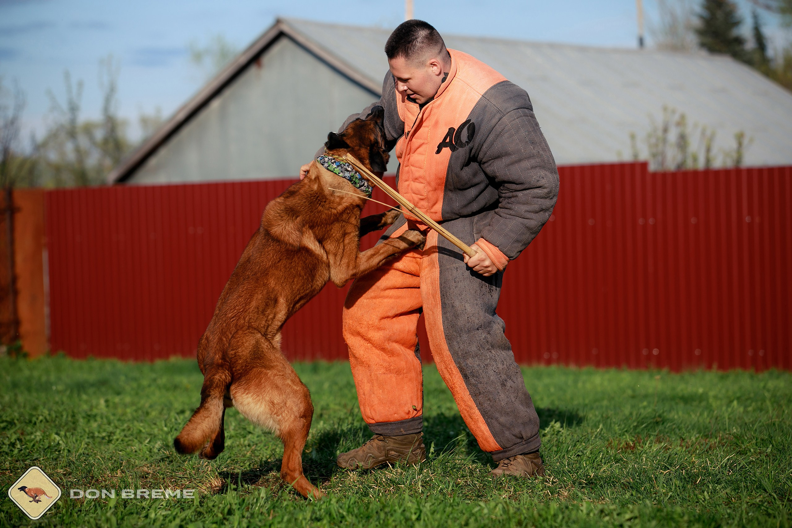 Семинар для фигурантов, день 2. Фотограф-анималист Mary Mart — Москва, Питер
