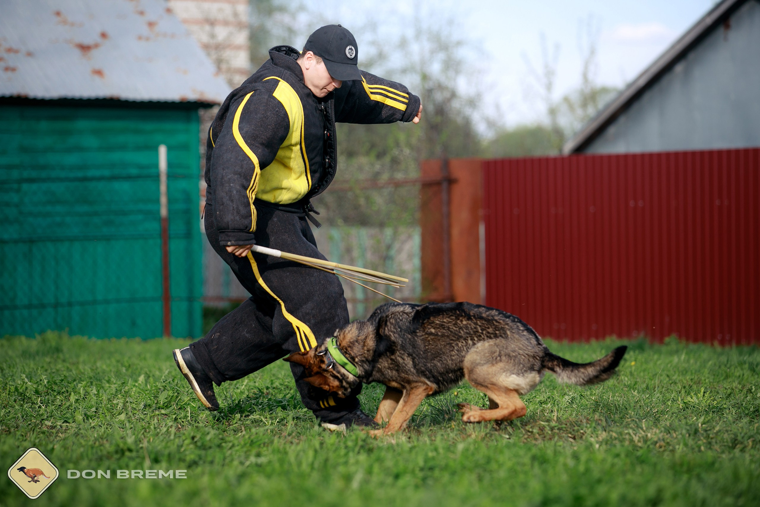 Семинар для фигурантов, день 2. Фотограф-анималист Mary Mart — Москва, Питер