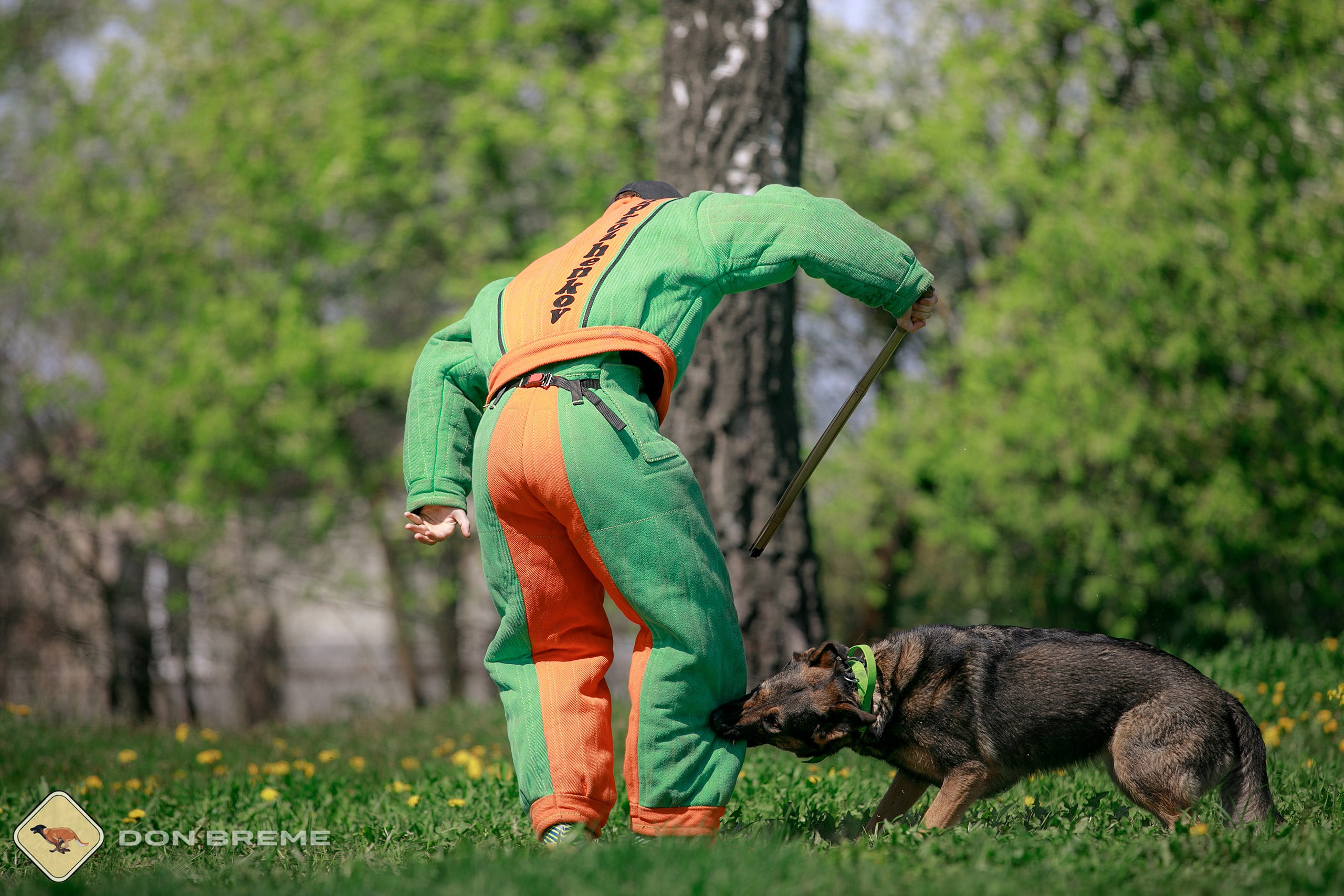 Семинар для фигурантов, день 4. Фотограф-анималист Mary Mart — Москва, Питер