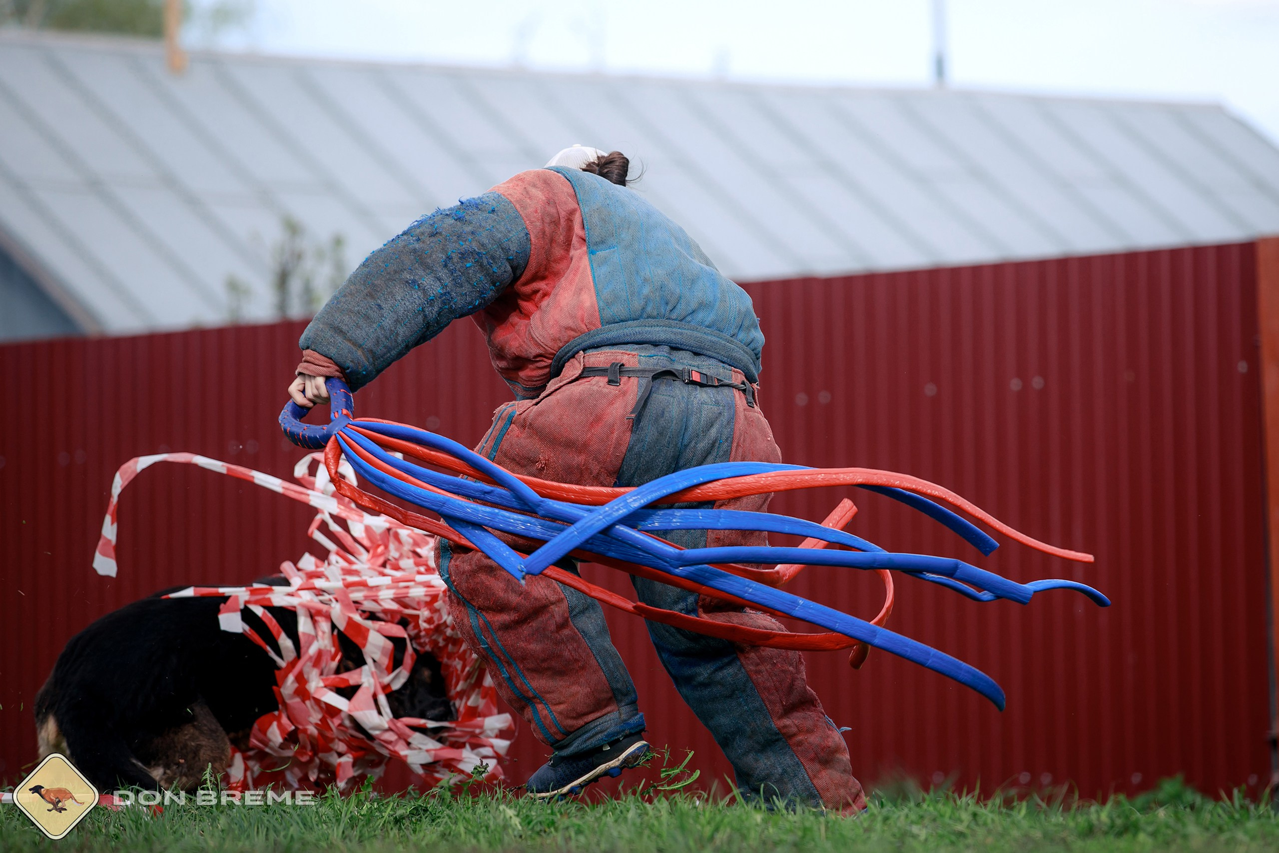 Семинар для фигурантов, день 2. Фотограф-анималист Mary Mart — Москва, Питер