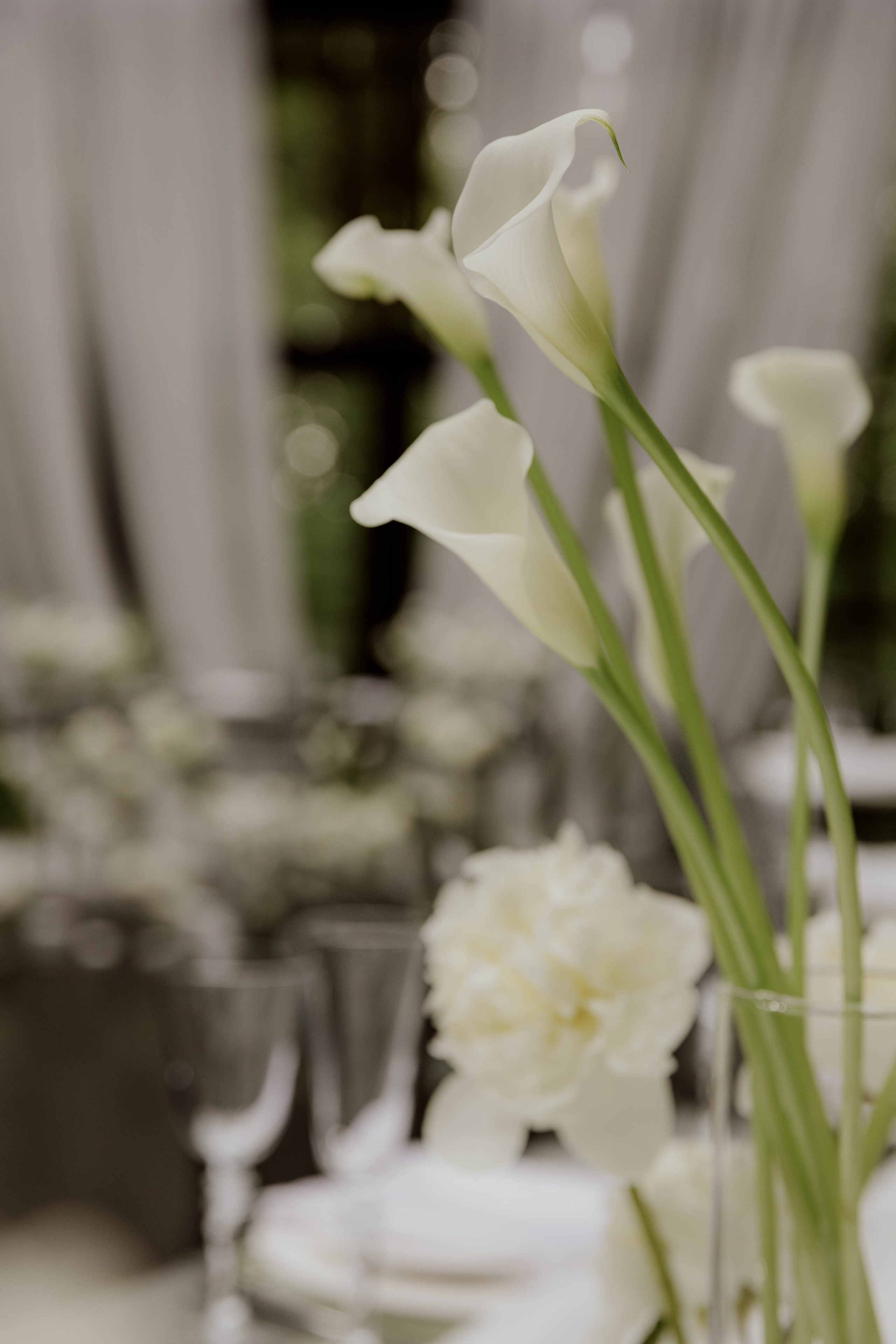 Александр и Валерия. Фотограф Юсова Мария