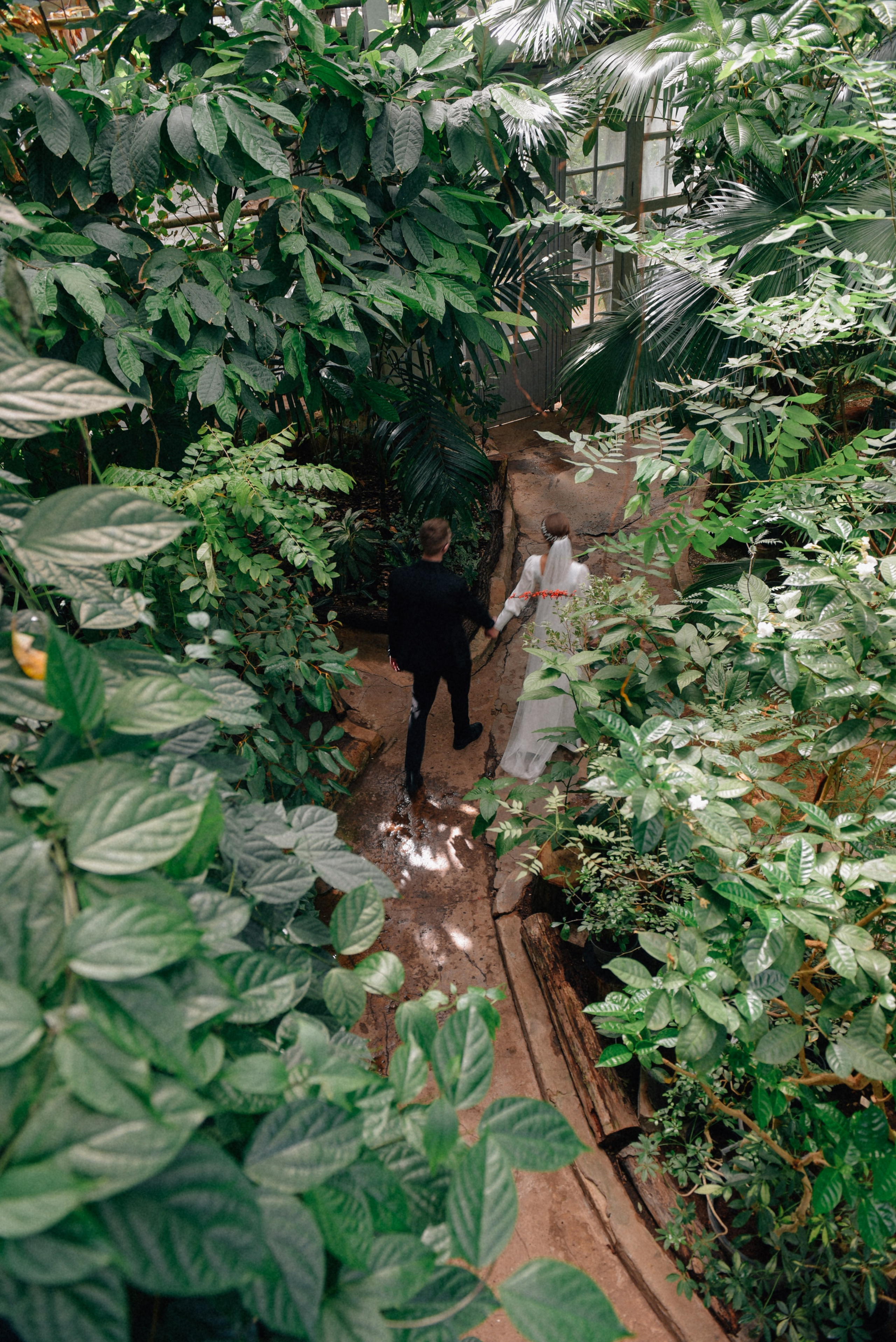 Старая Фондовая Оранжерея. Фотограф Лола Волна, город Москва
