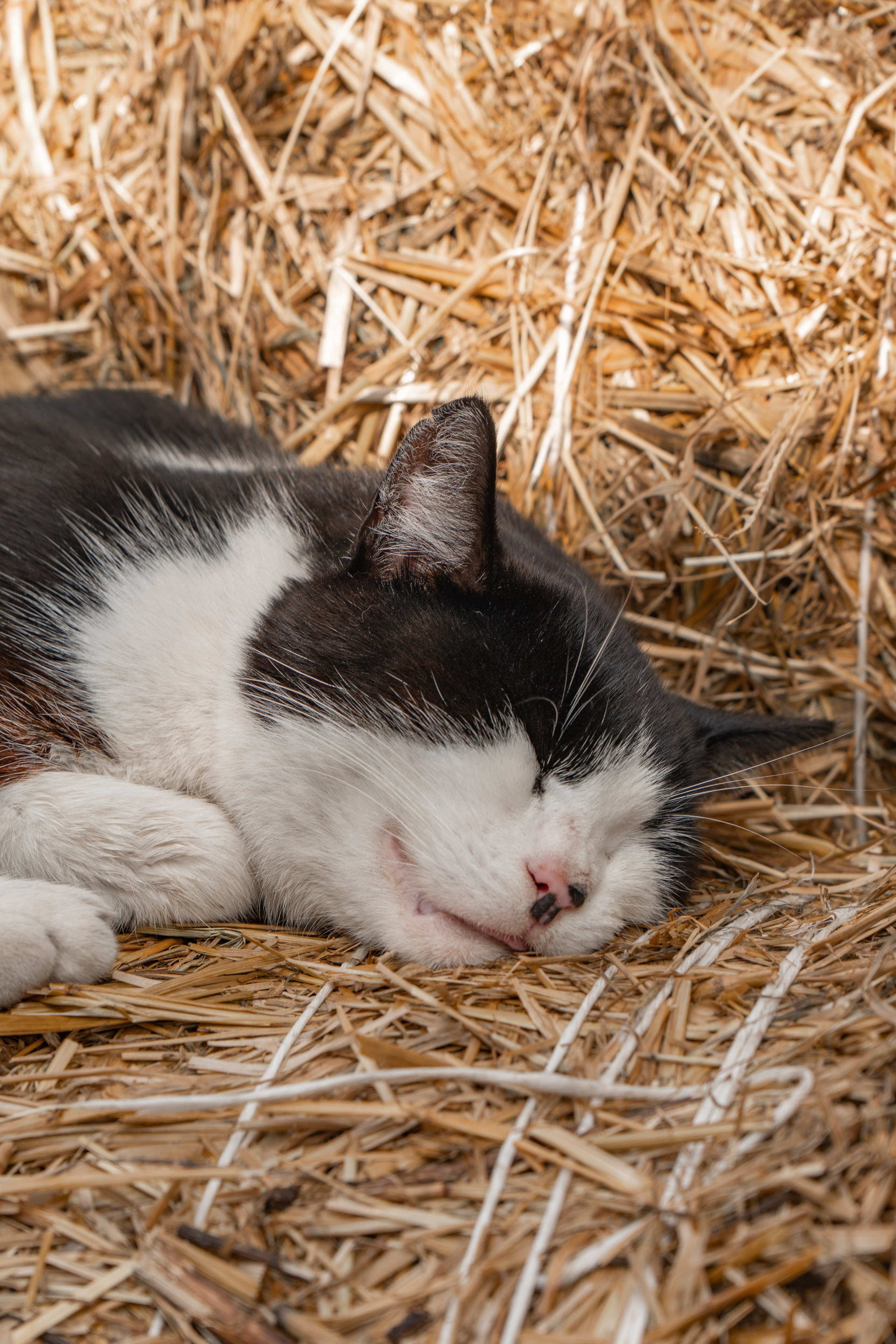 Калининградская область. Gusarov Travel Photography