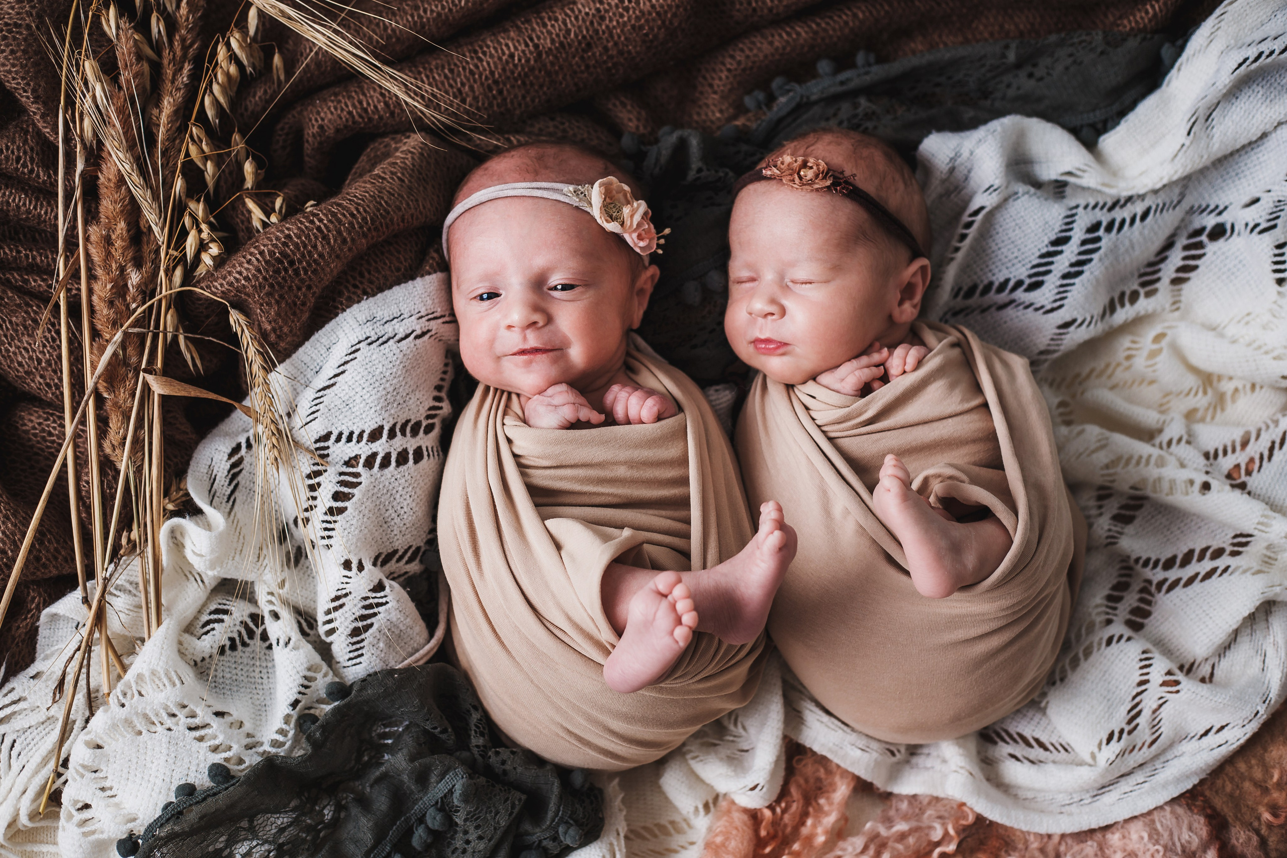 Таисия и Есения, пакет «Стандарт», 21 день. Фотограф новорождённых Екатерина Боброва. Ульяновск