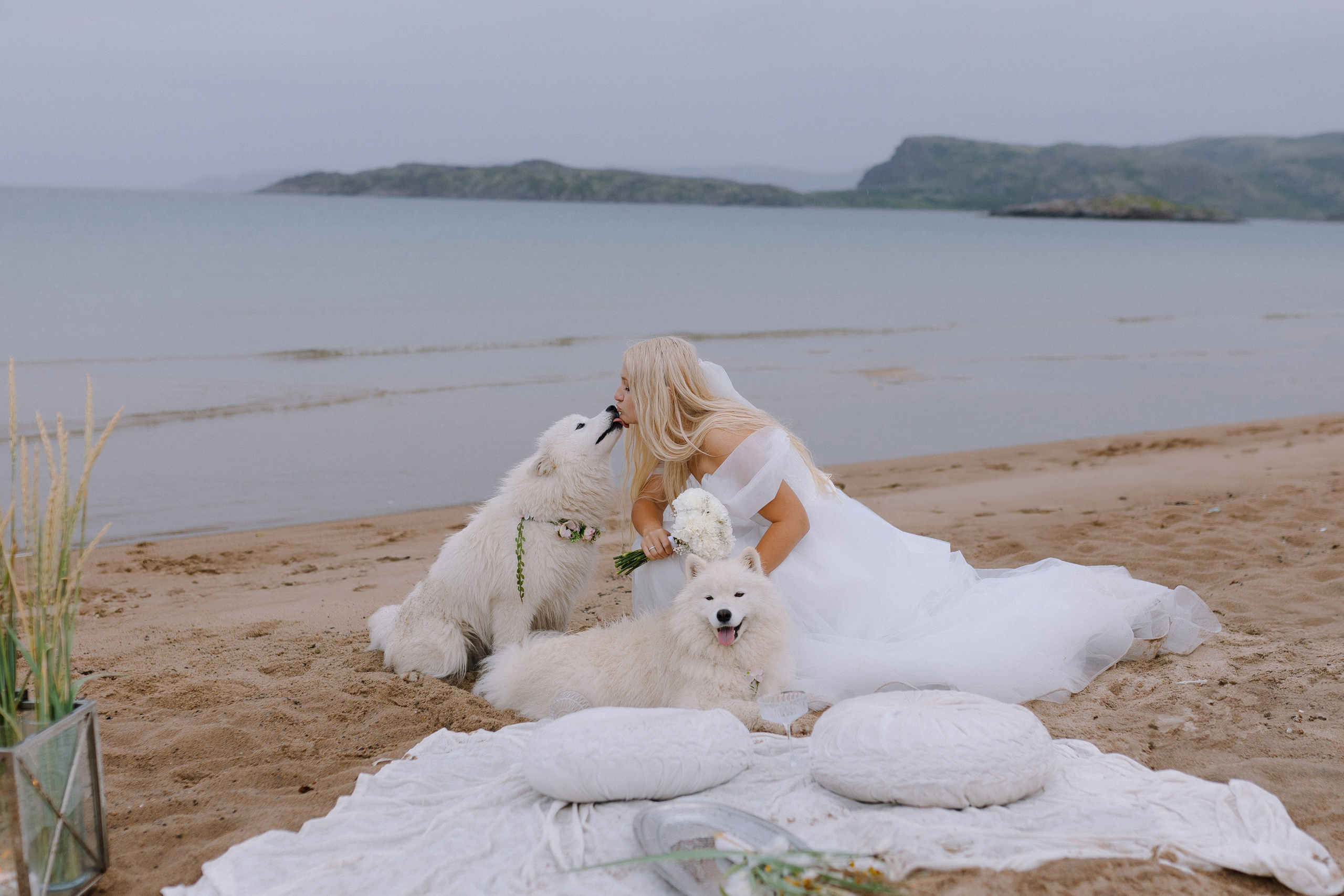 Красивая выездная церемония на фоне северных красот