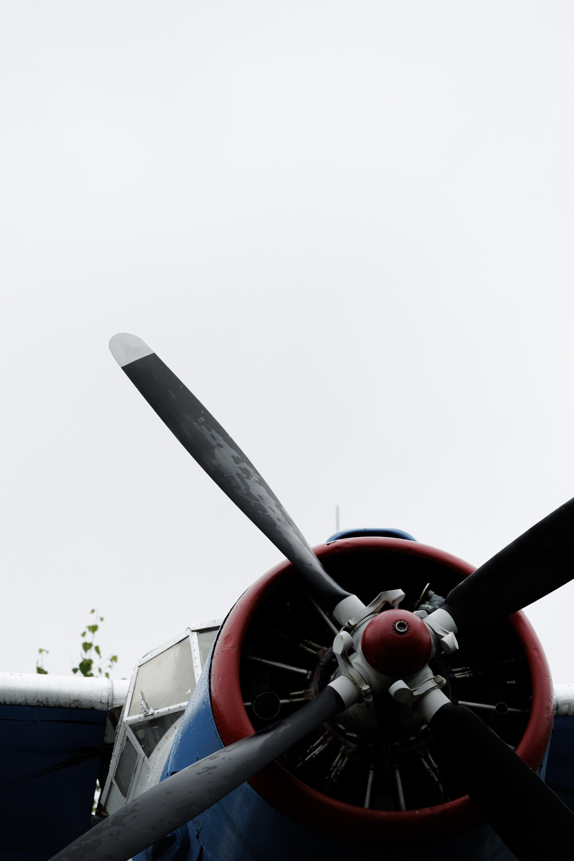 Максим и Елена. Свадебный фотограф