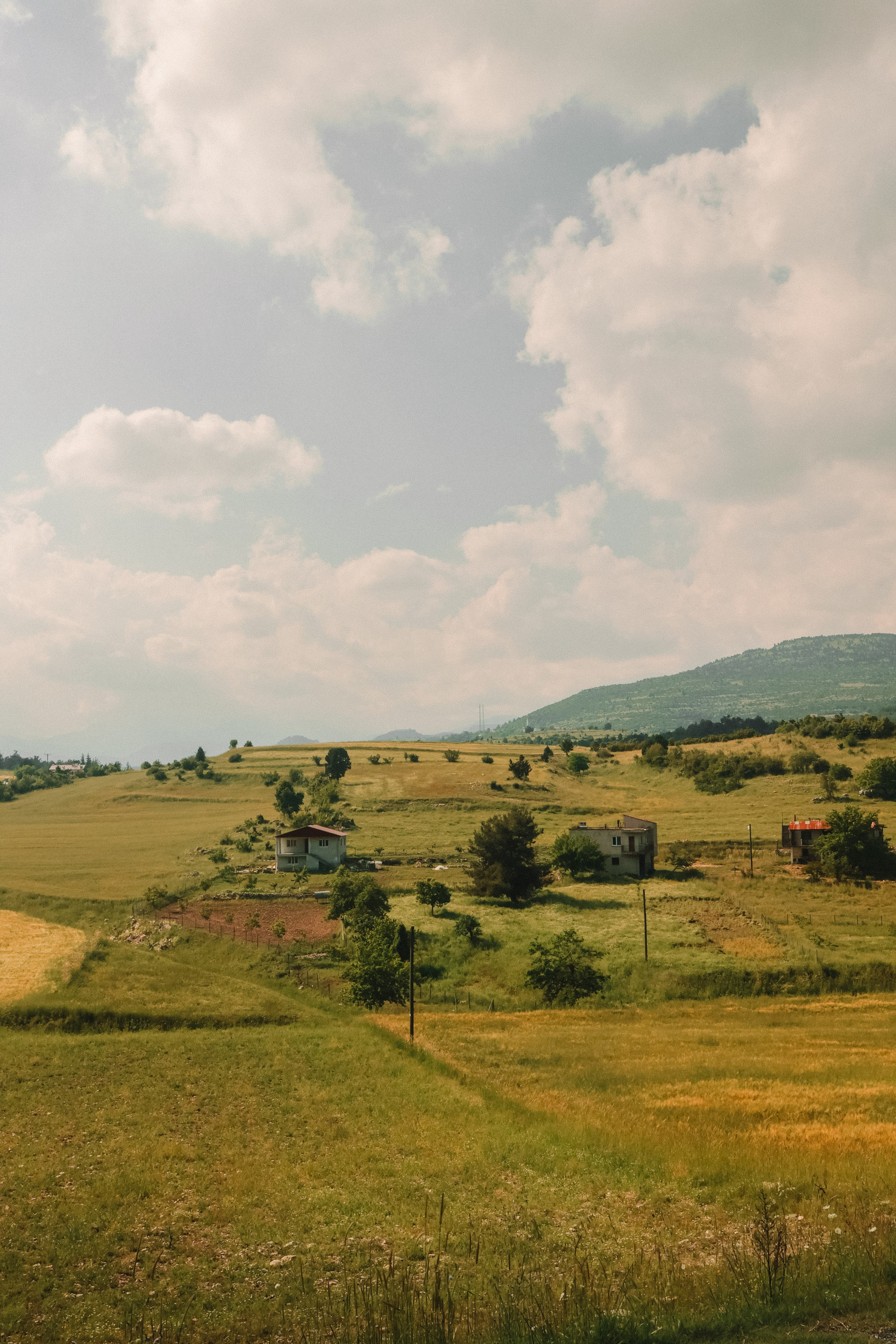 Photographer in Turkey — Dari N