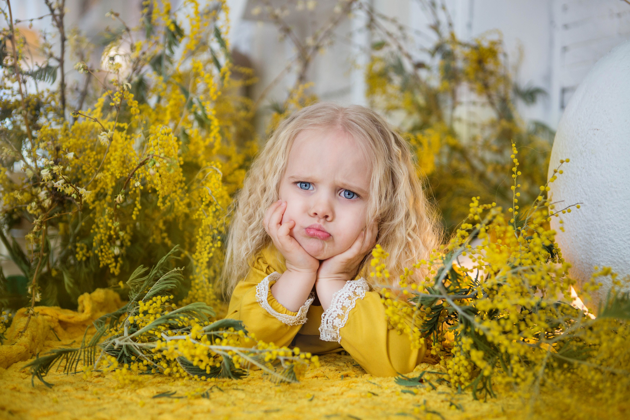 «Мимоза». студия «Авторская». Свадебный семейный и детский фотограф в Краснодаре Карина Федоровская