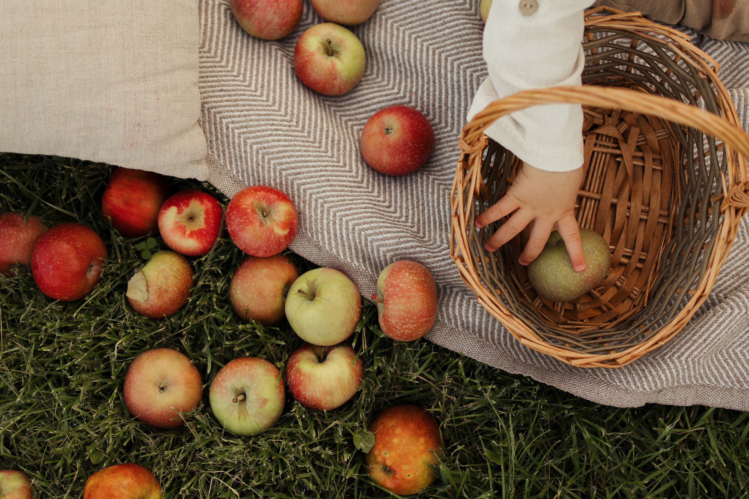 Первый день рождения. Фотограф в Выборге и Санкт-Петербурге Маша Гуляева