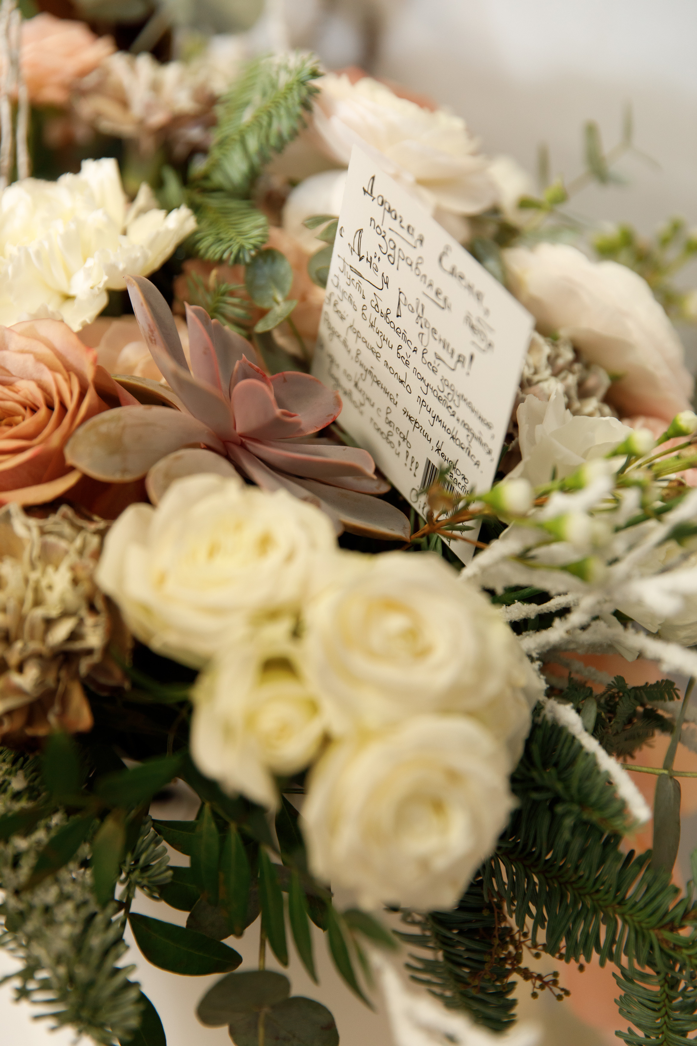 Елена | Юбилей | Oilband. Свадебный, семейный и школьный фотограф в Сызрани Максим Баталов