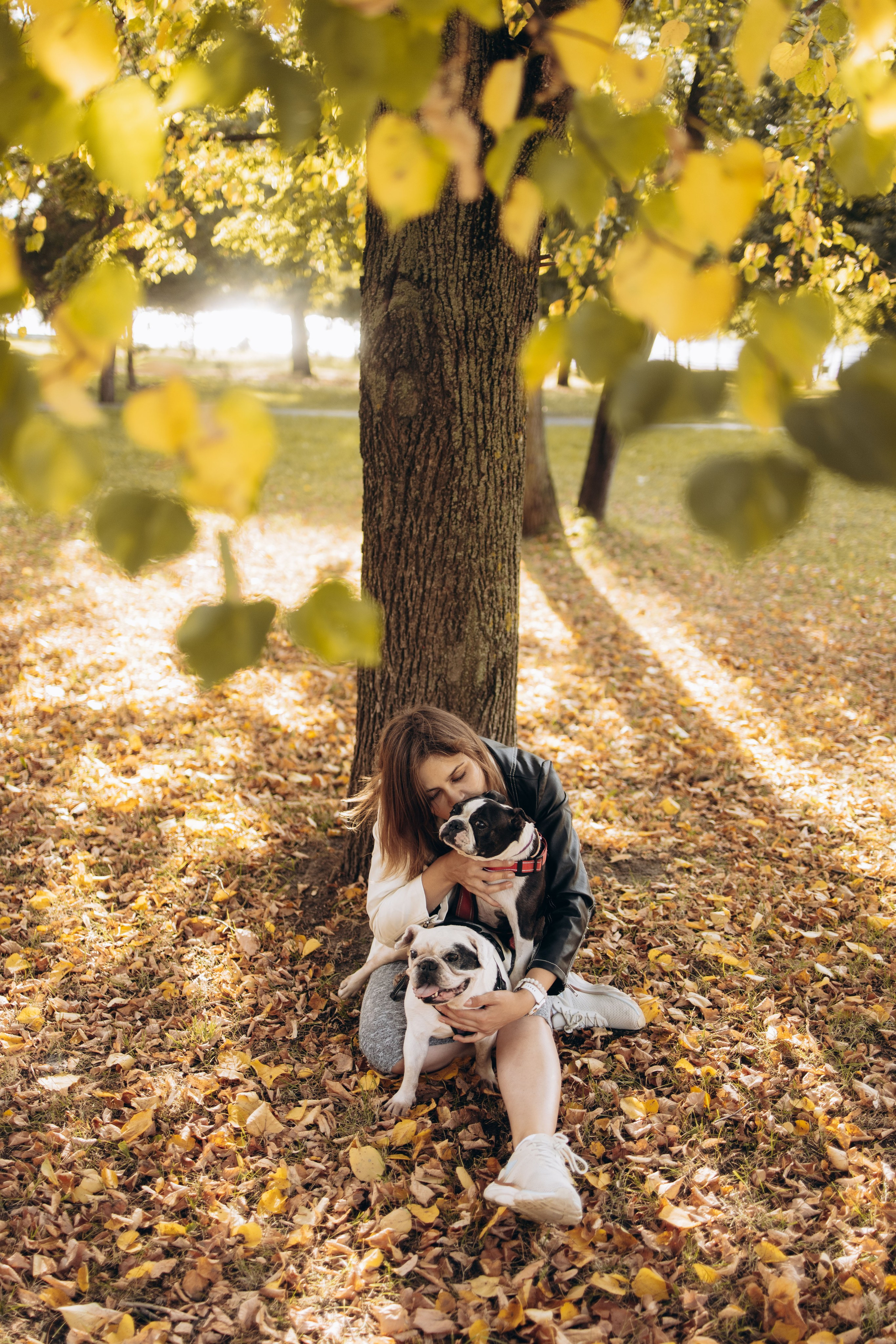 Оля и бульдоги