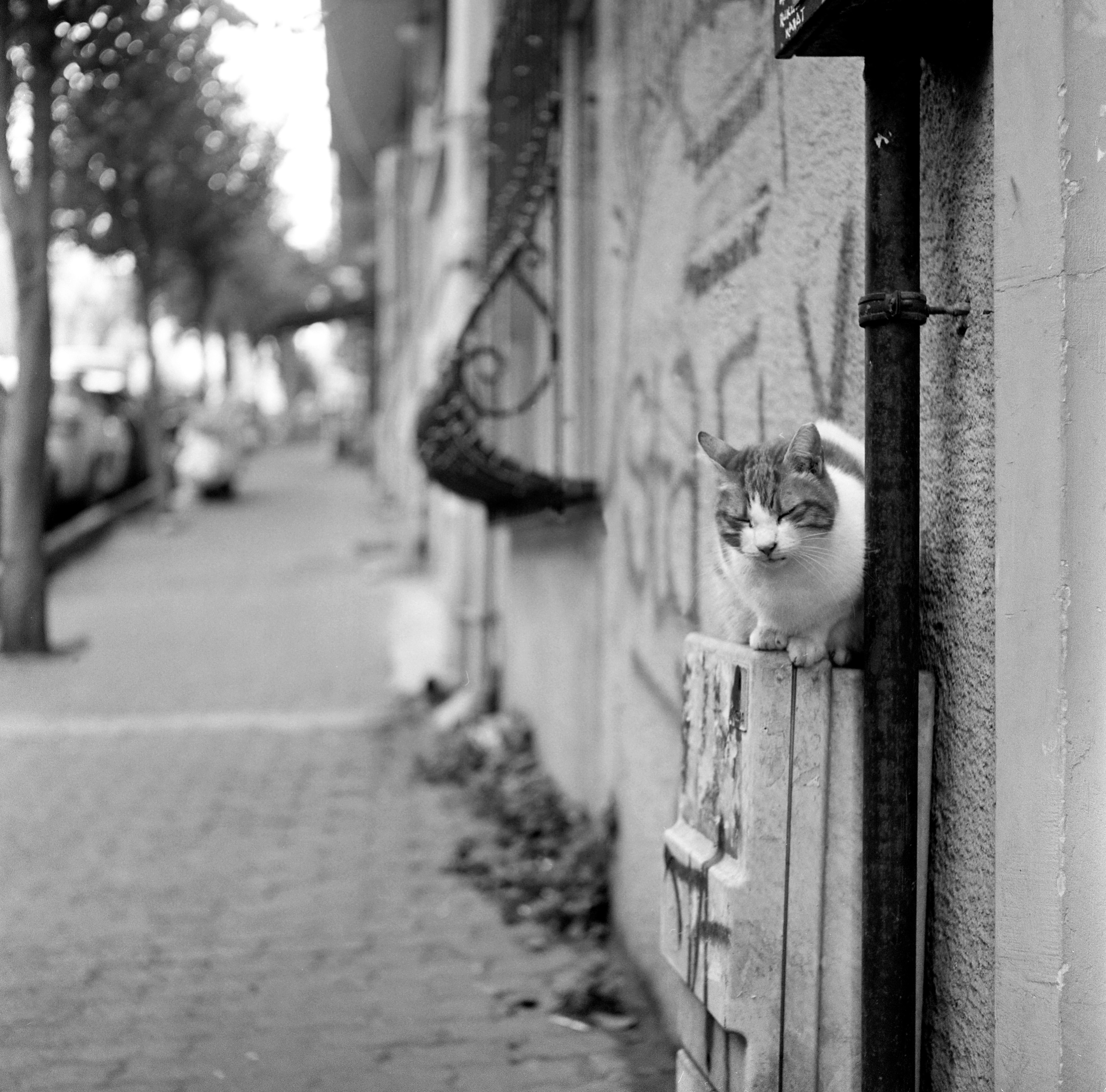 Turkey, Istanbul. Elena Nikitina. Photo Artist. Film photography. Prints