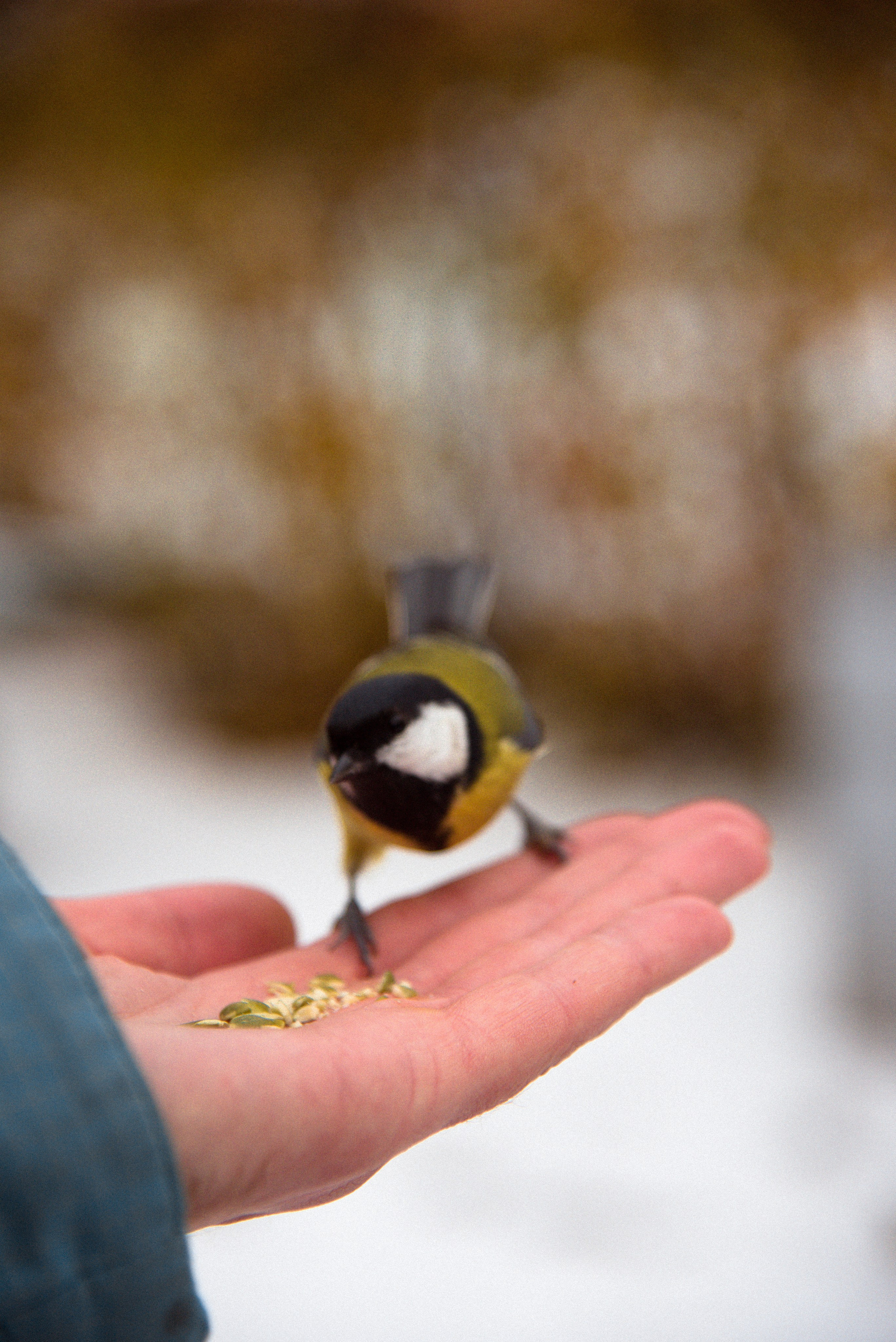 Оля. Свадебный и семейный фотограф с Санкт-Петербурге Ольга Стрижакова