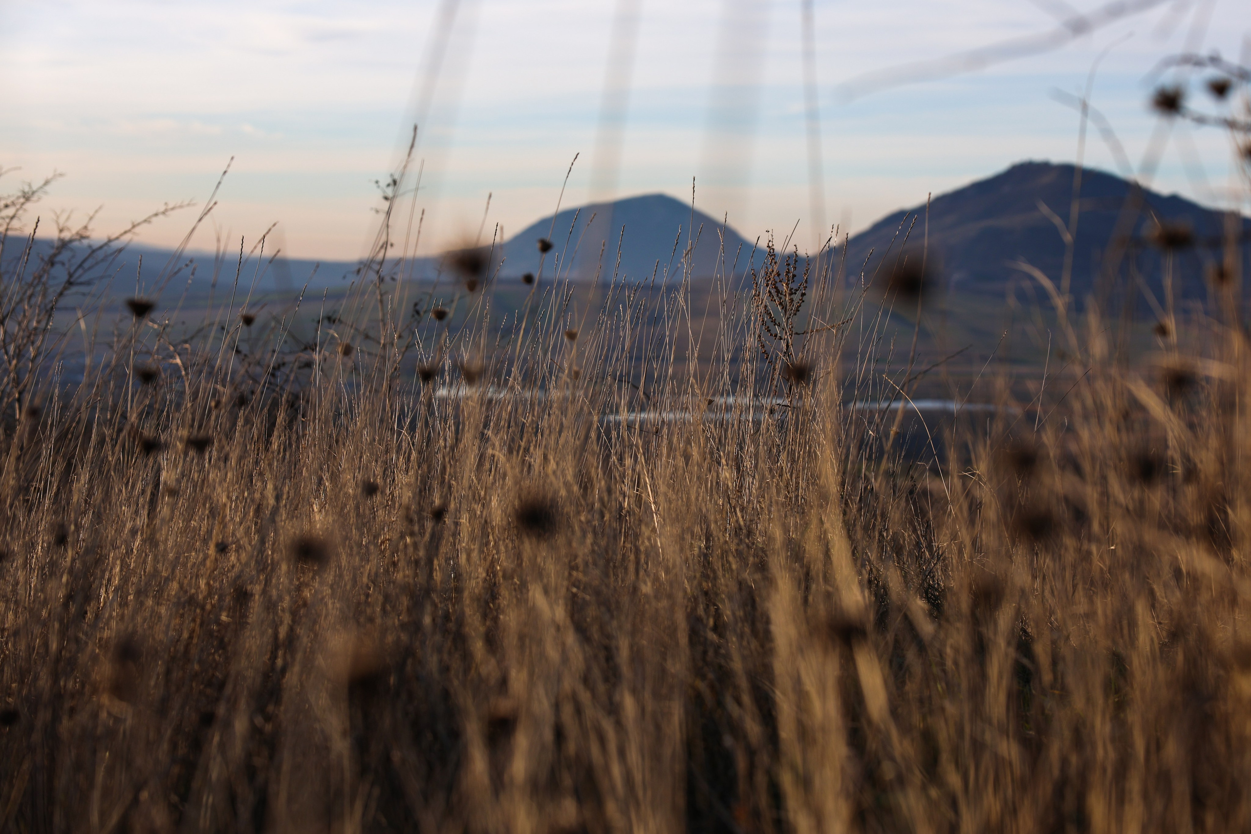 Фотограф Мария Алексеева. Мария Алексеева. Фотограф в Москве