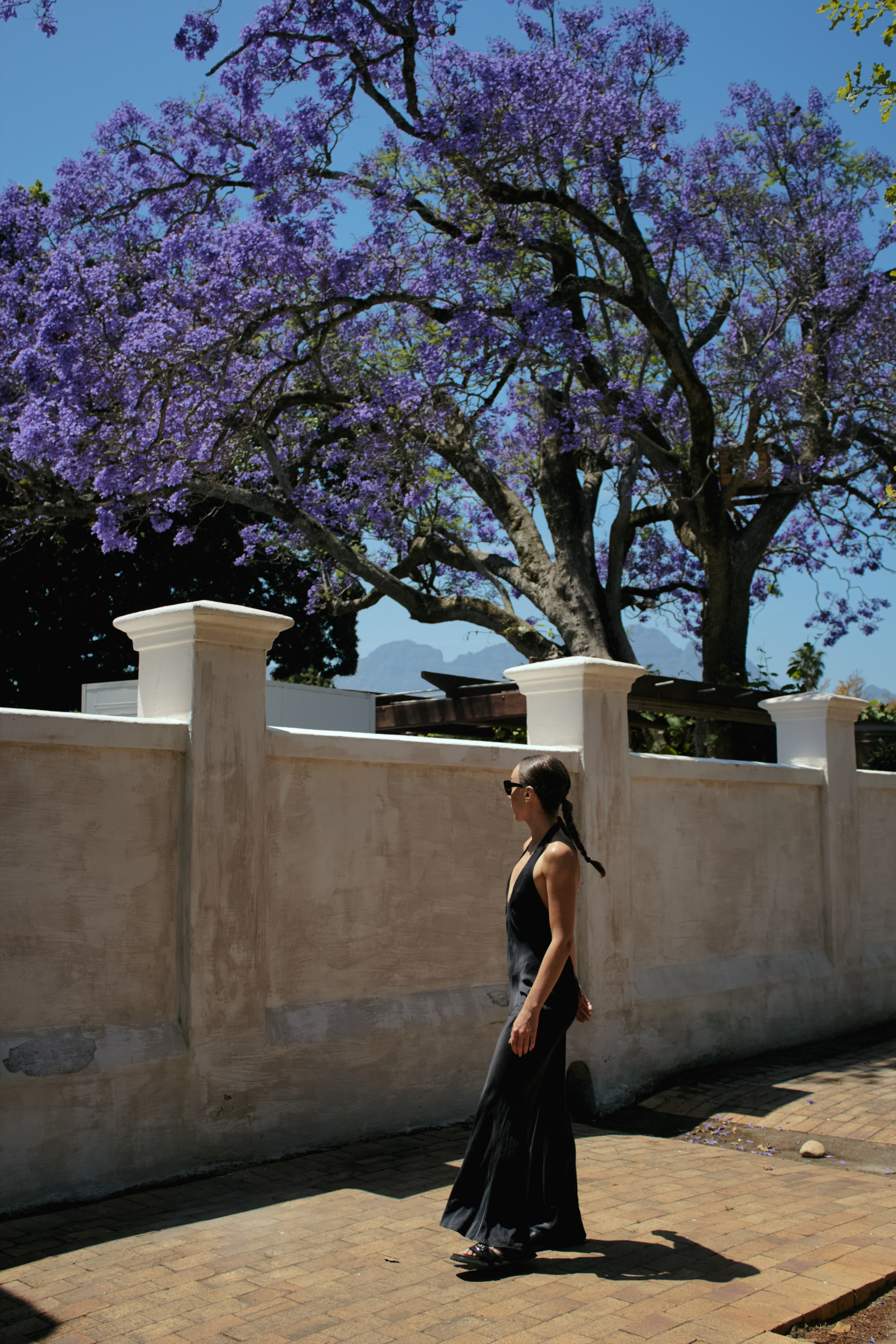 ЮАР. Профессиональный Фотограф во Владимире, в Москве и в Суздале — Полина Романычева
