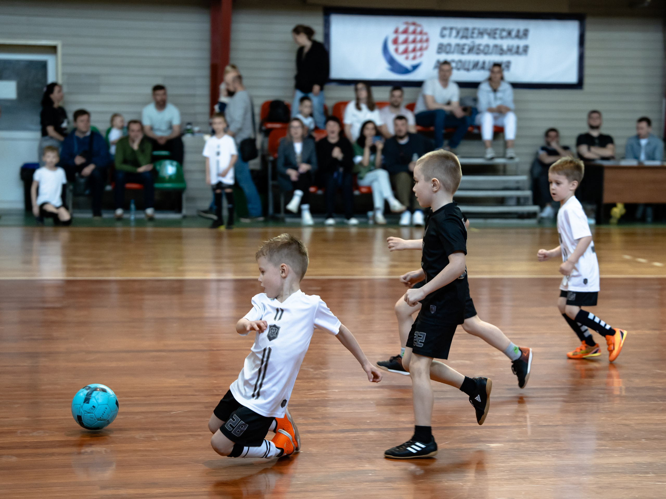 Тики-Така Противостояние 2025. Крамер Юлиана детский и семейный фотограф