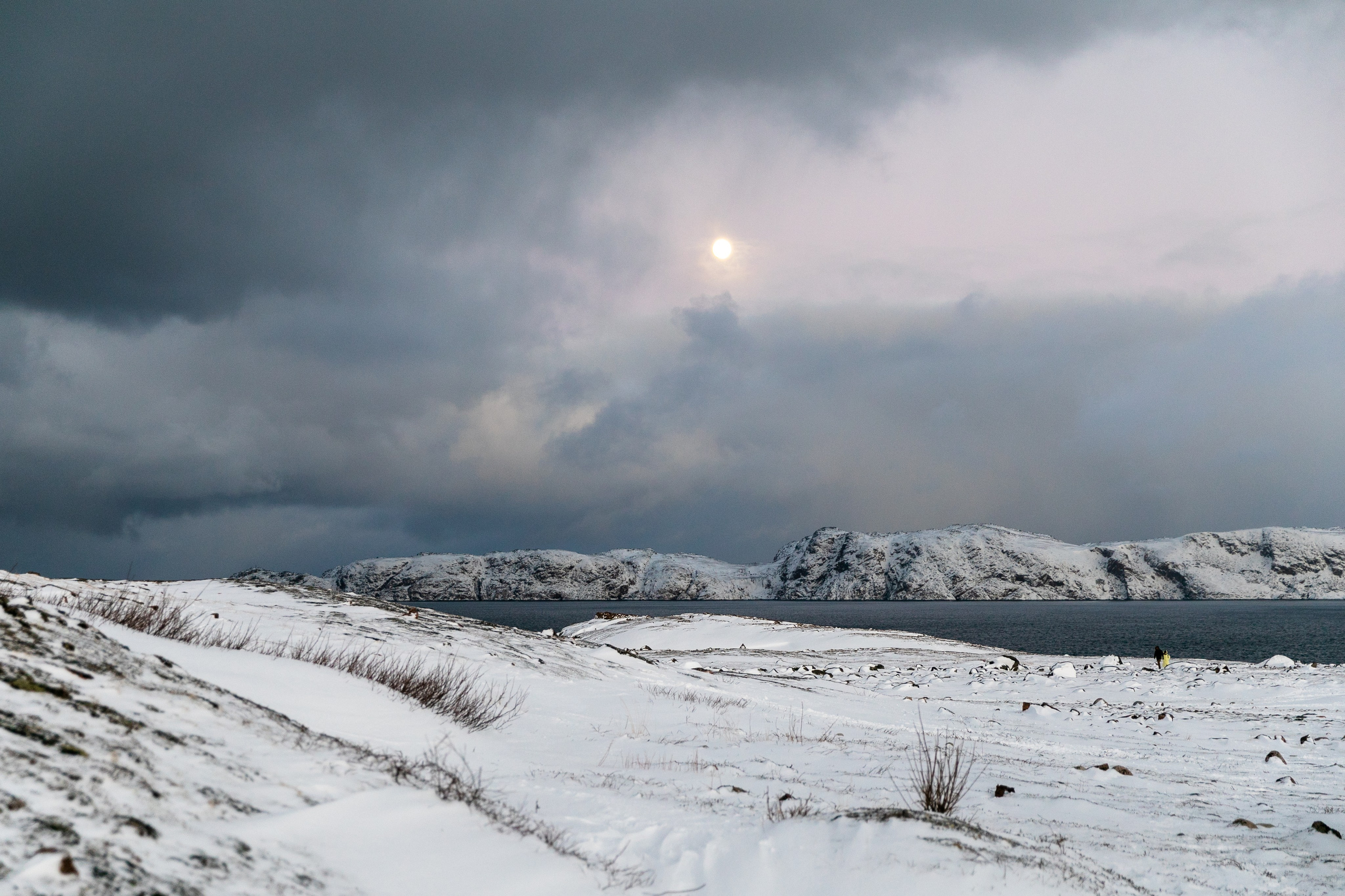Планета. Фотограф FOTOBANKA