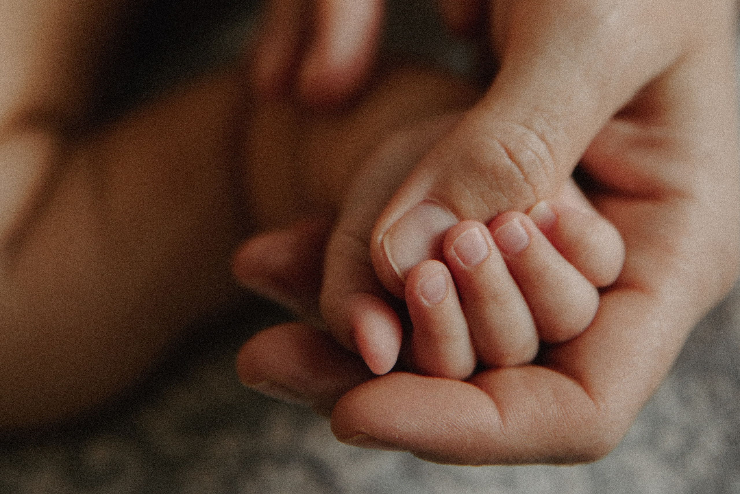 Семейный фотограф Земскова Евгения