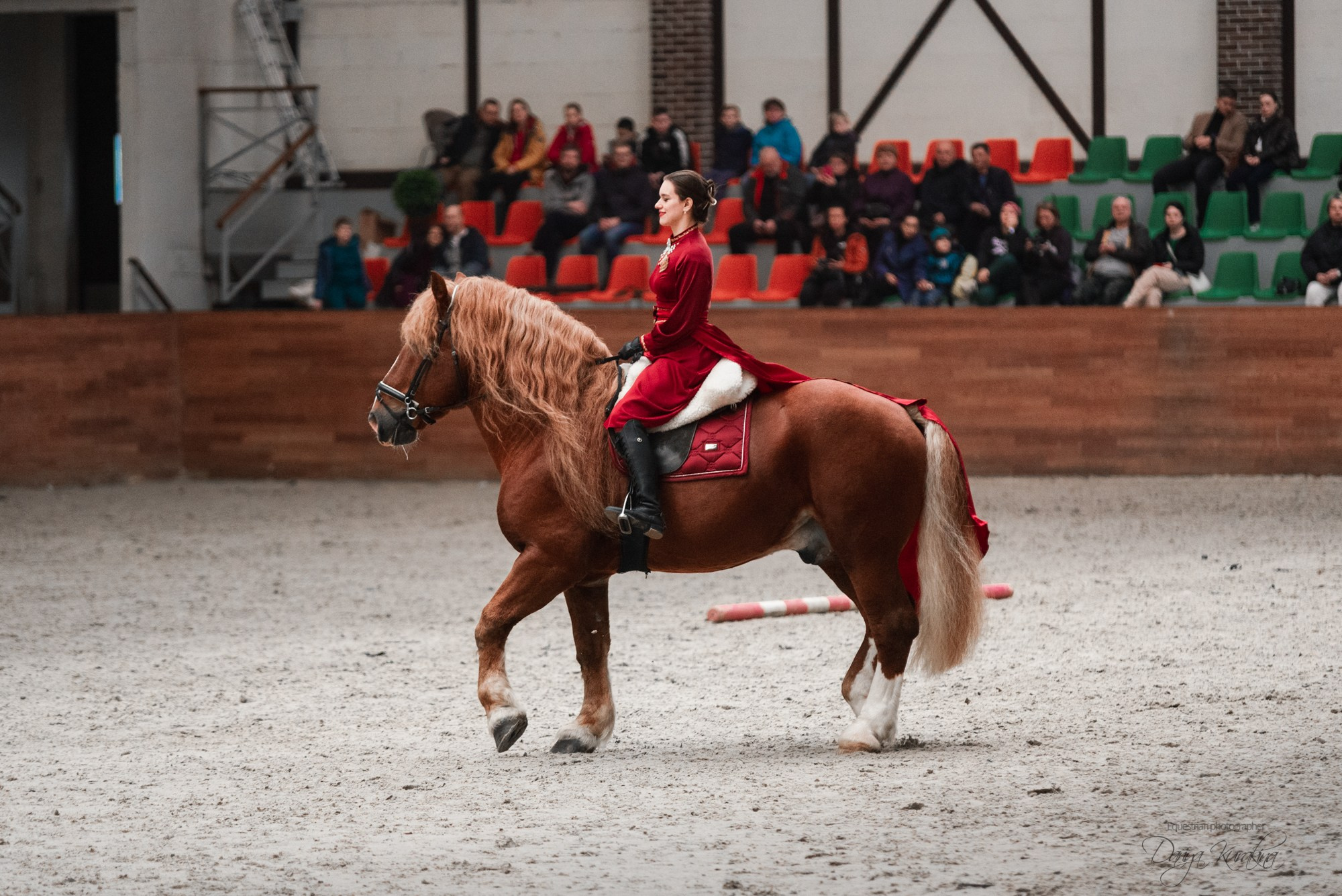 8-я международная выставка Конная Россия. Конный фотограф Куракина Дарья • Фотосессии с лошадьми
