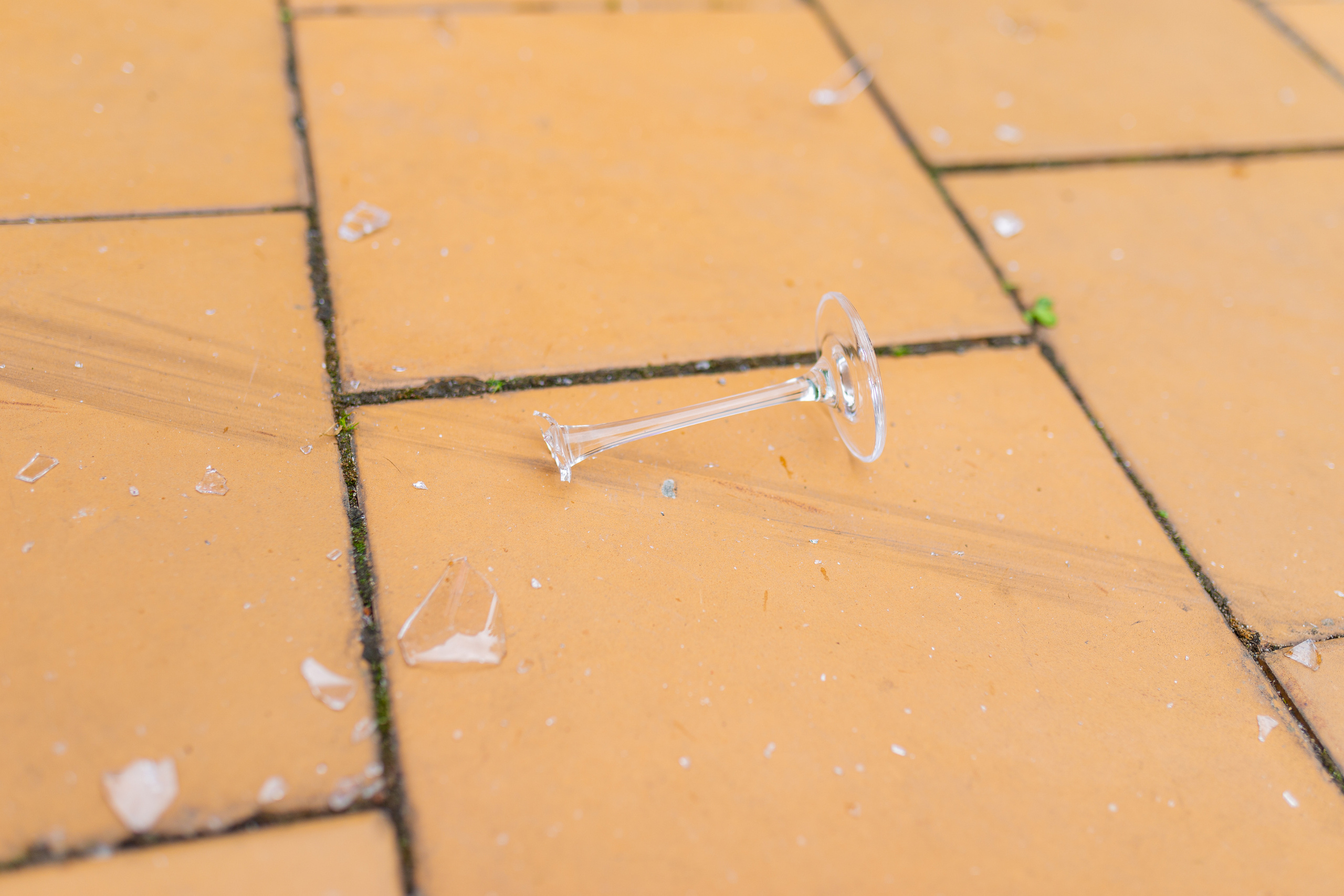 Игнат и Елизавета. Свадебный и семейный фотограф в Калуге Александра Борис