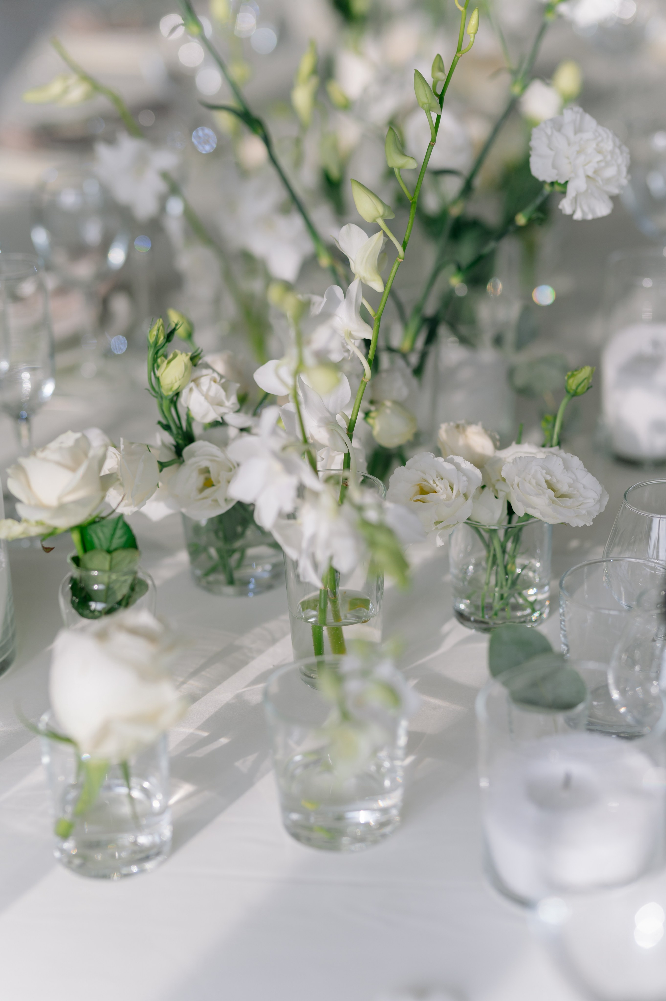 Влад и Диана. Свадебный фотограф Минск, Пинск, Брест, Гродно Чернигов Андрей