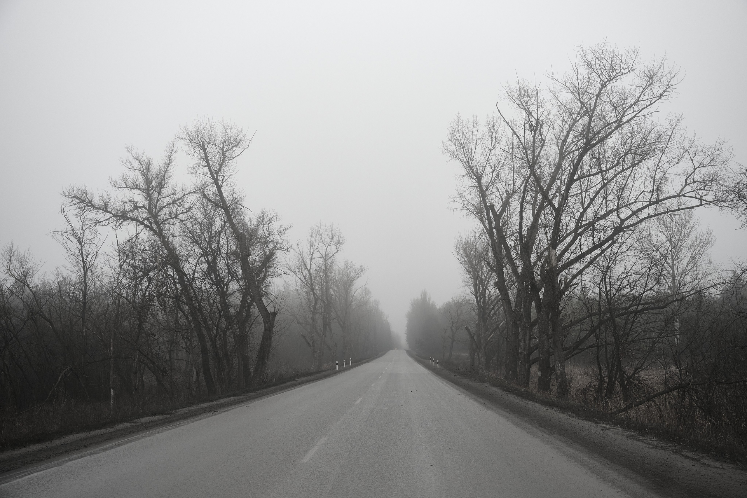 Дорога домой. Туман. Фотограф Роман Адлер