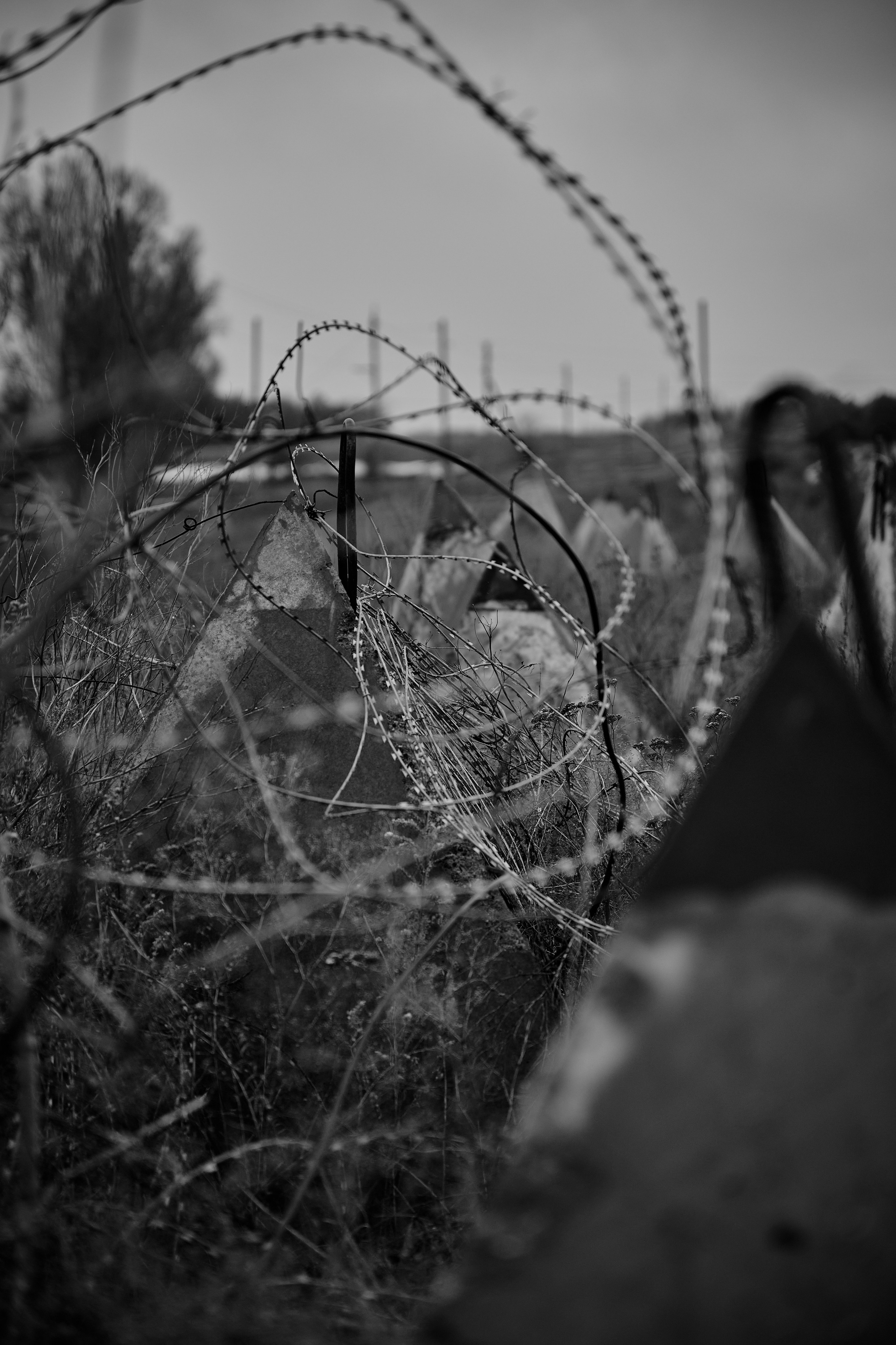 Съемки для фотопроекта Территории. Фотограф Роман Адлер