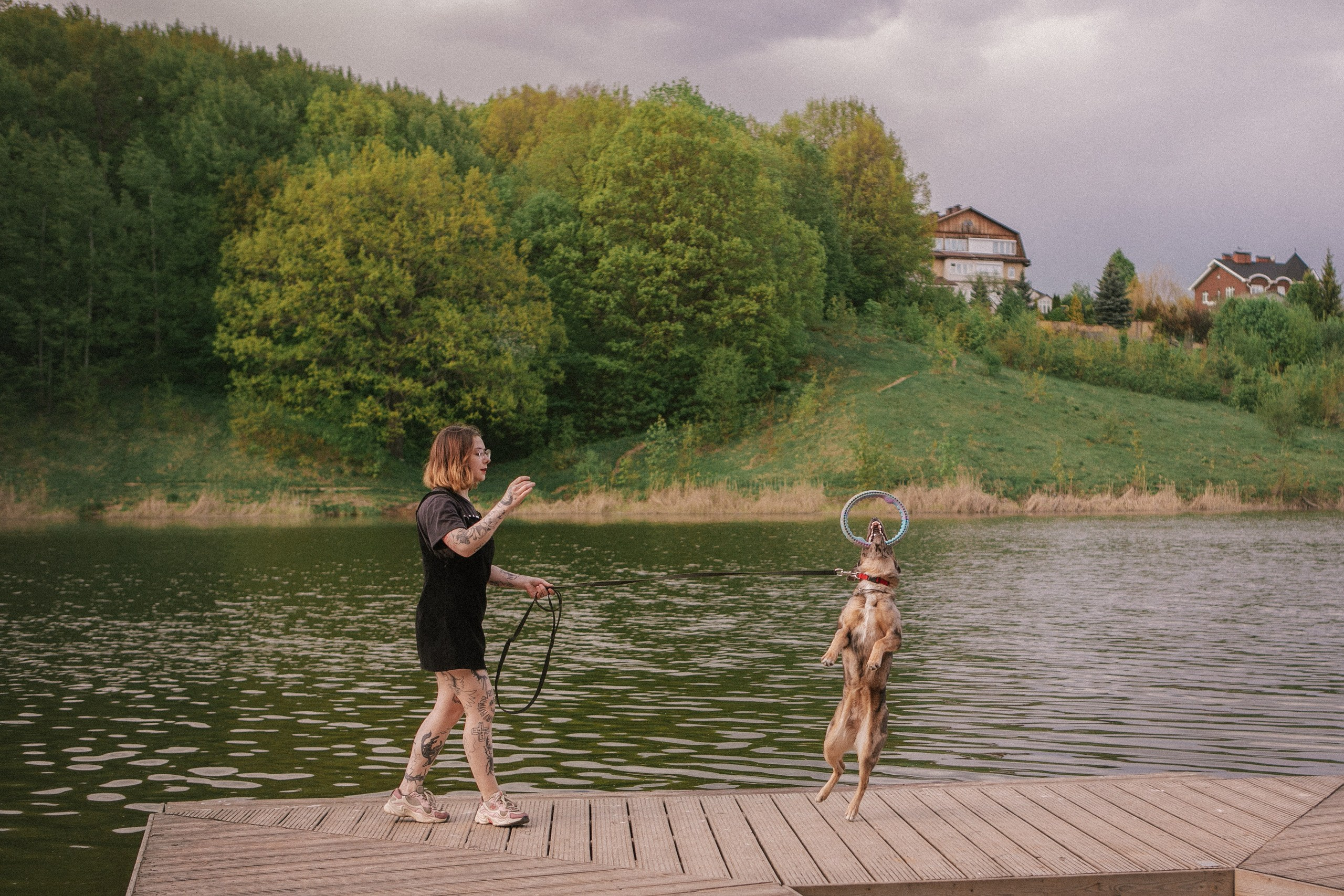 Штефа. Фотограф анималист Кузнецова Анна Нижний Новгород