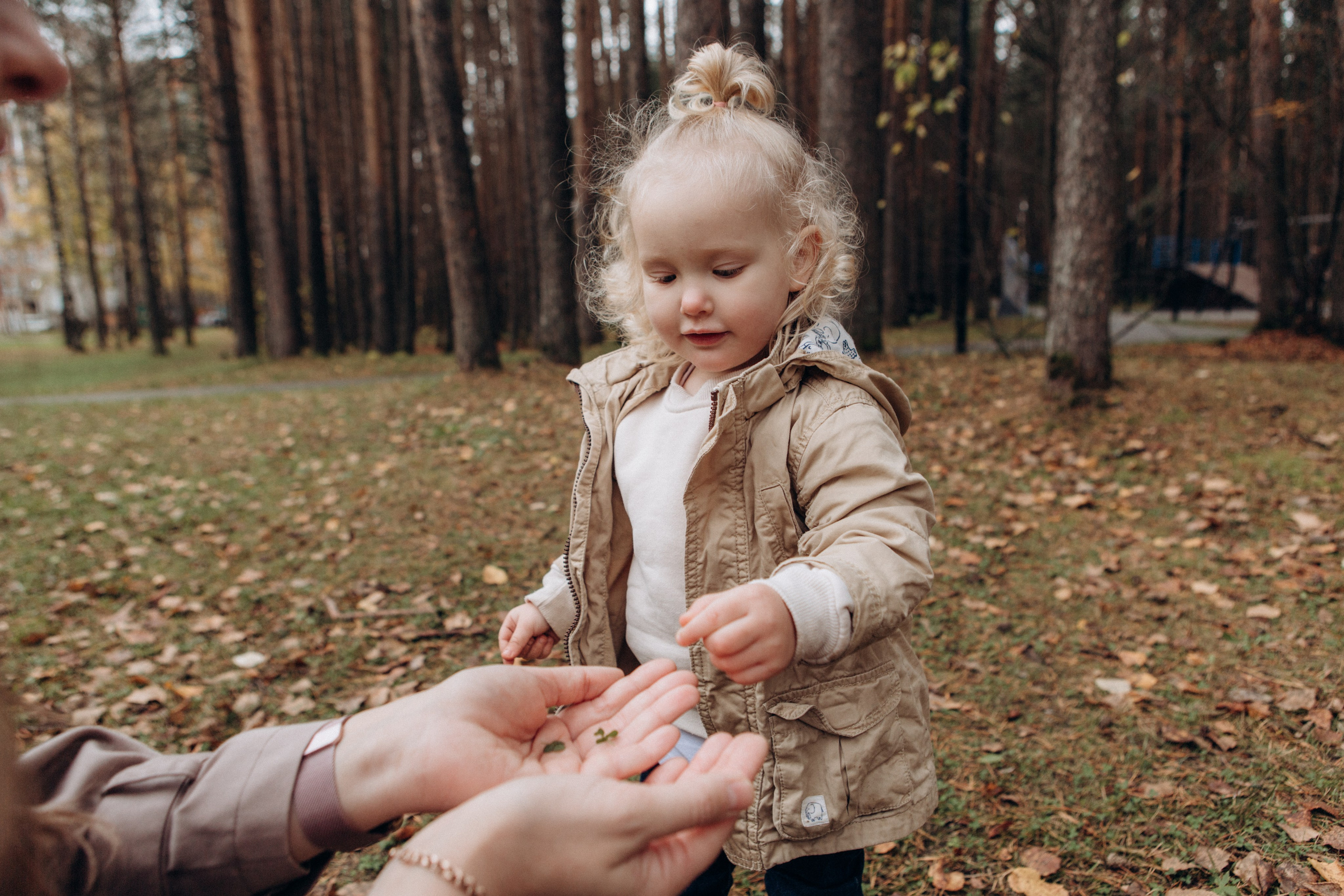 «Осенние лучики». Фотограф в Ухте