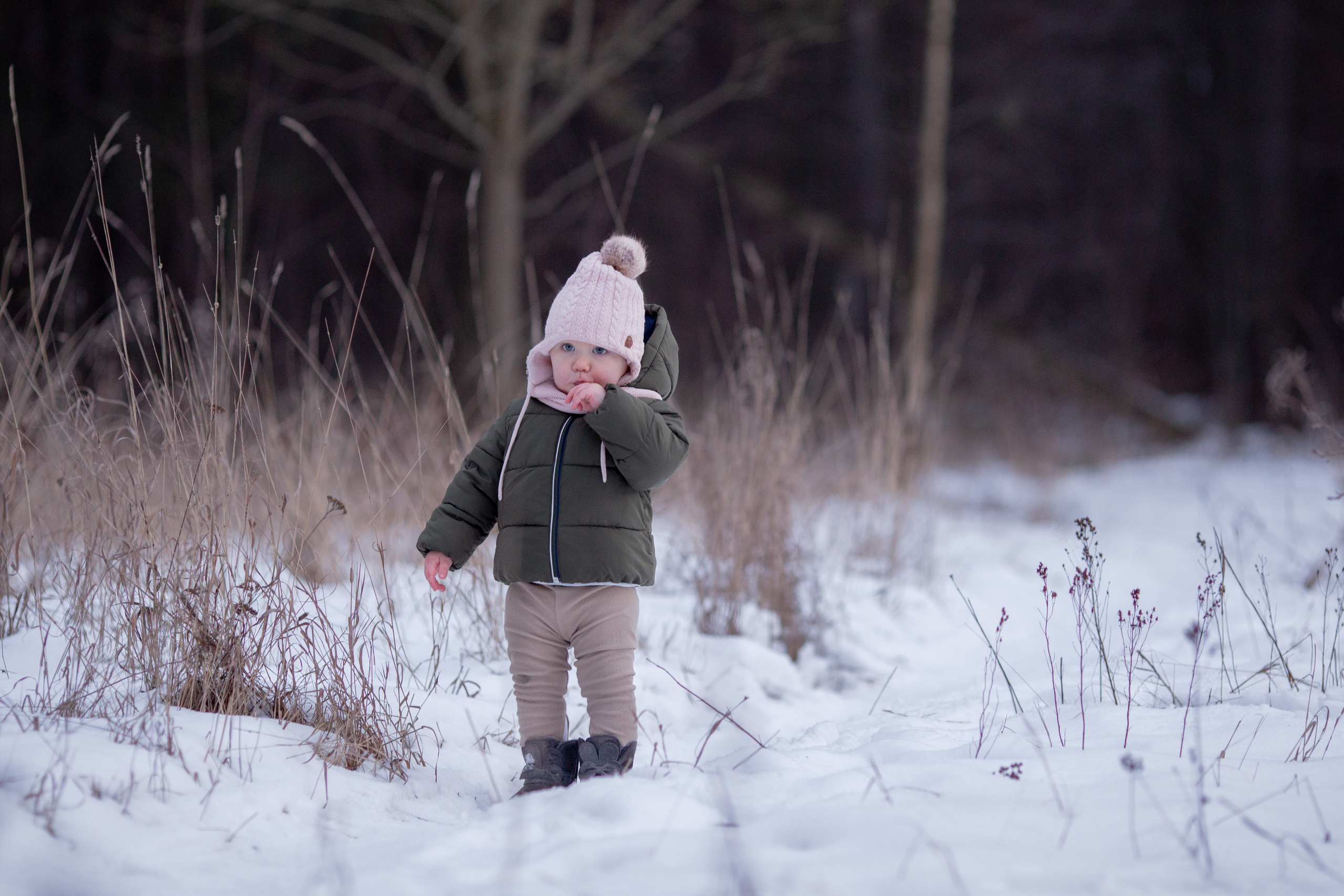 Анна Алексей и Камилла. Детский семейный фотограф в г. Москве Жанна Трофимова