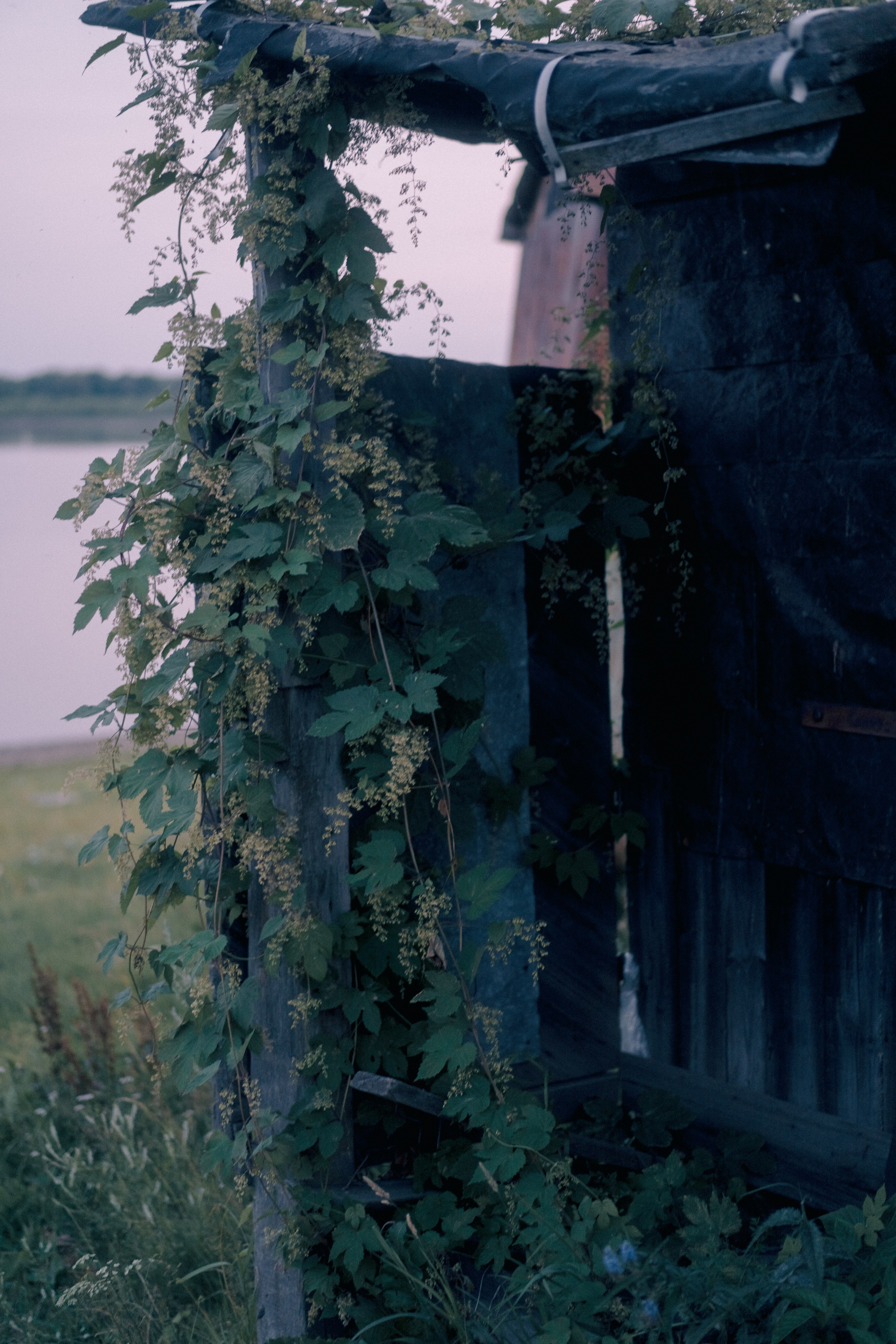 Лодочная станция, Северск. Veronika Popadeikina Photographer
