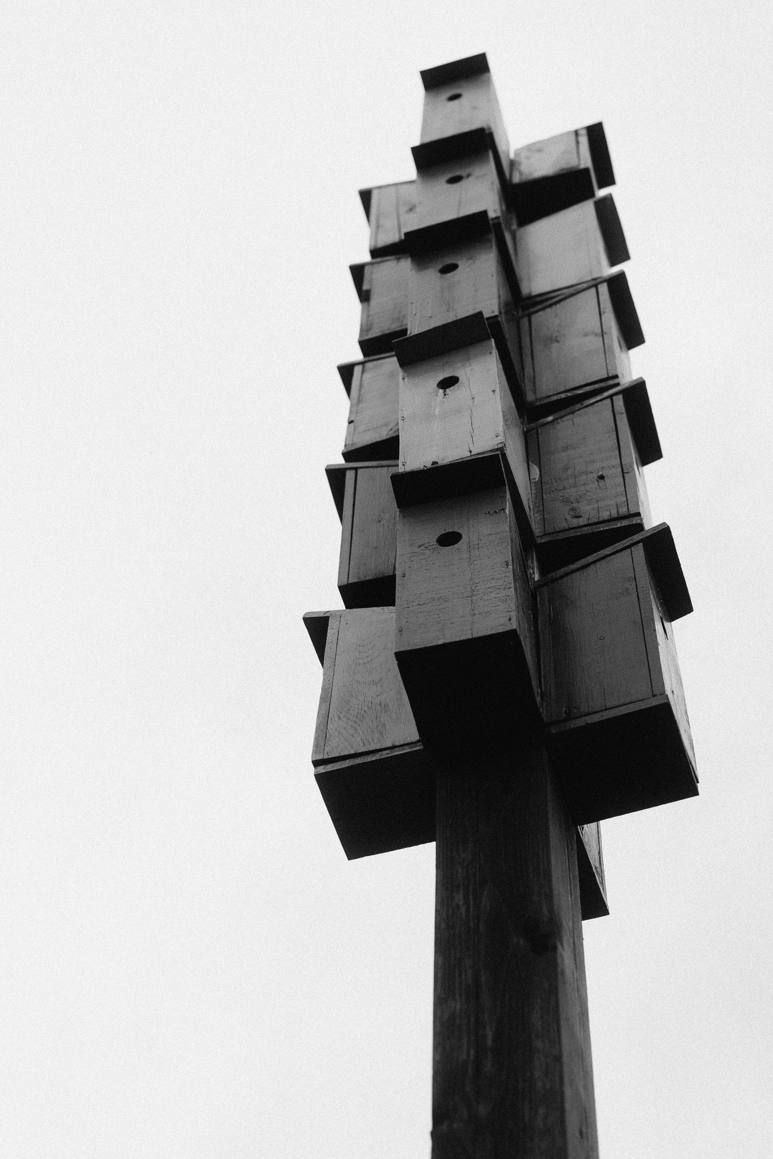 Зелёные горки. Veronika Popadeikina Photographer