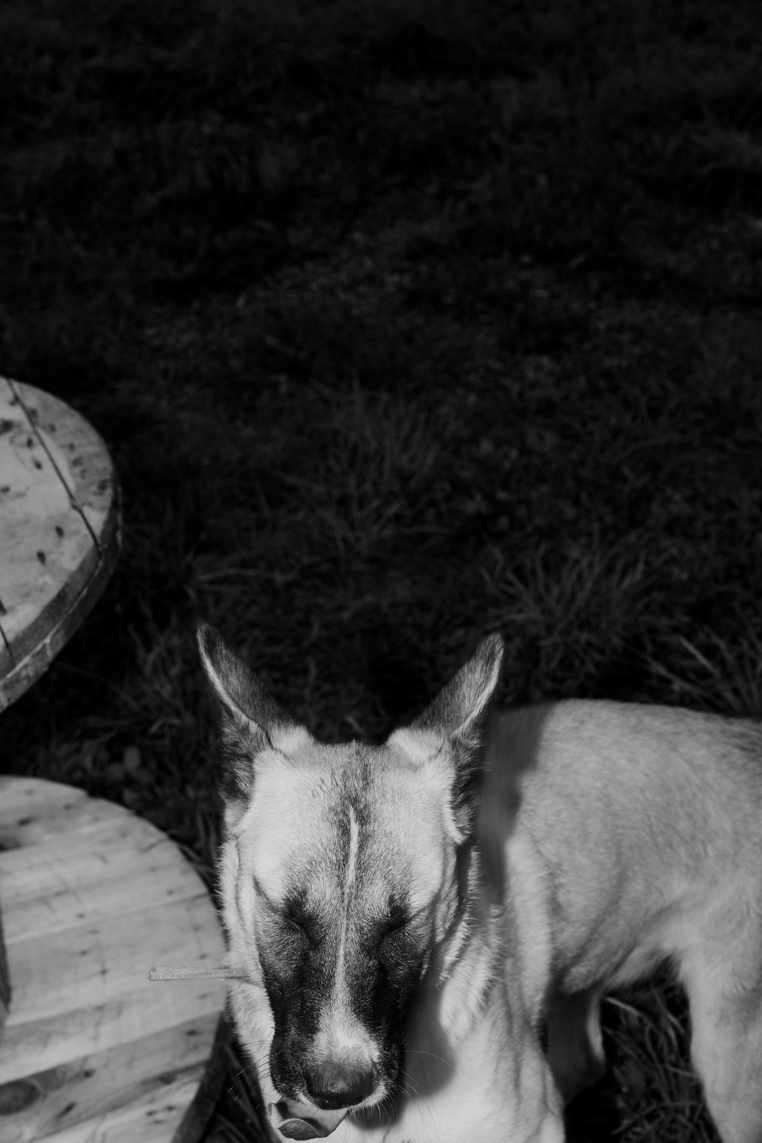 Улица Балтийская. Veronika Popadeikina Photographer