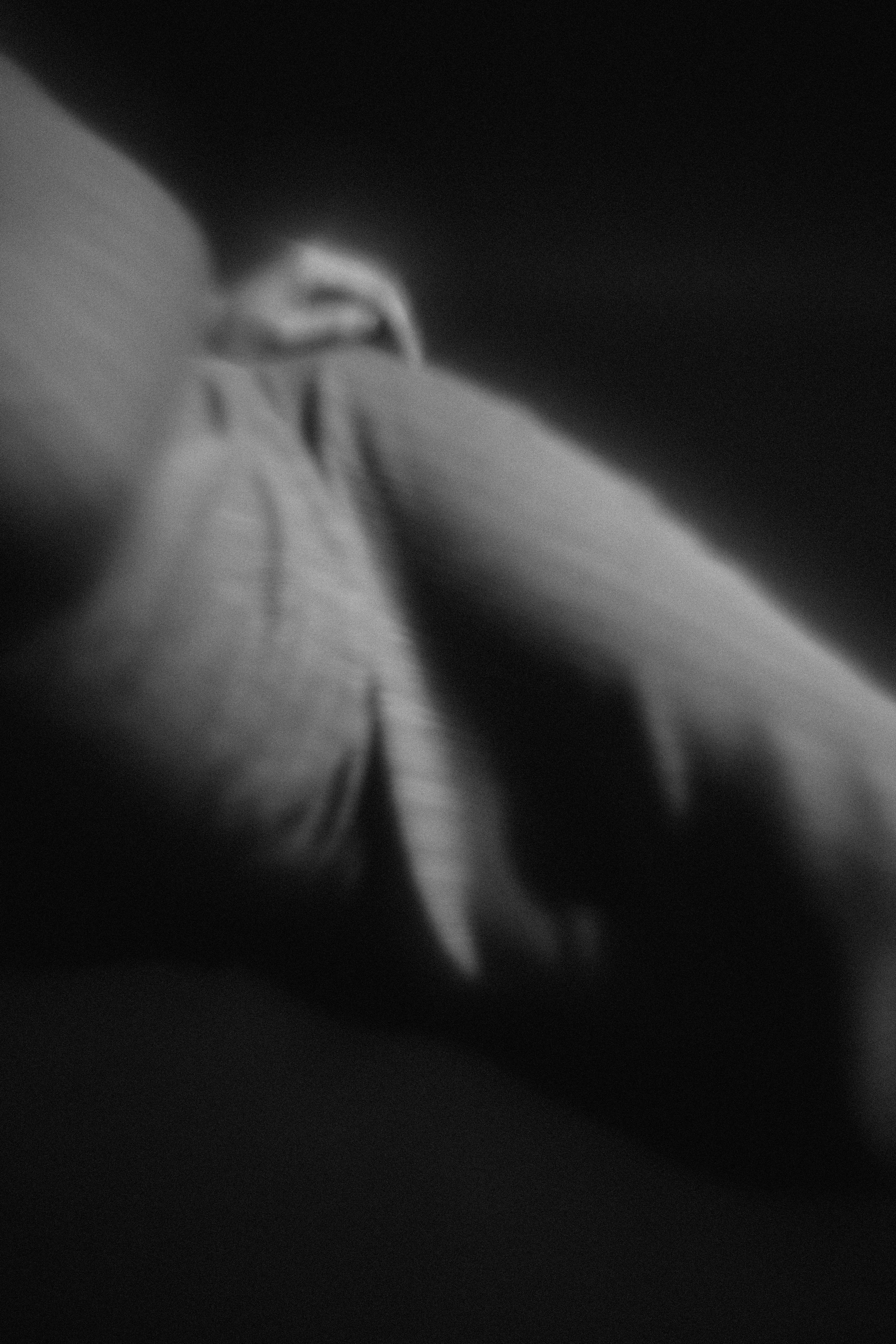 Ангелина. Veronika Popadeikina Photographer