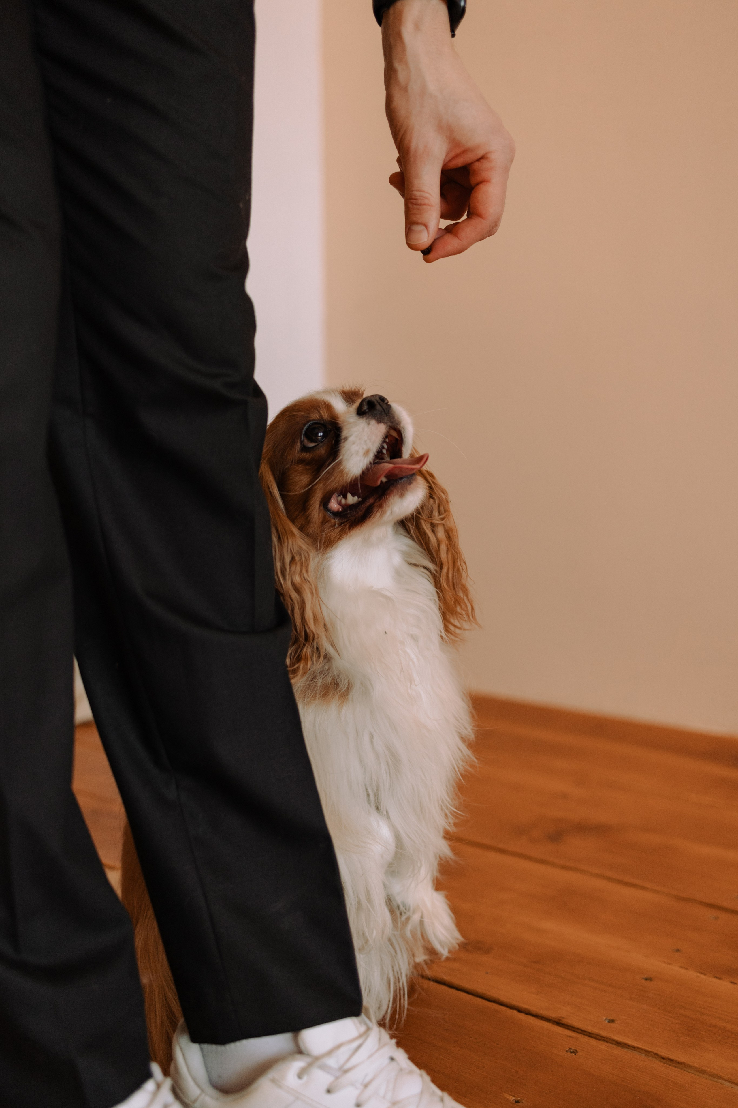 Шерри и ее семья. Фотограф — Анималист | Санкт-Петербург