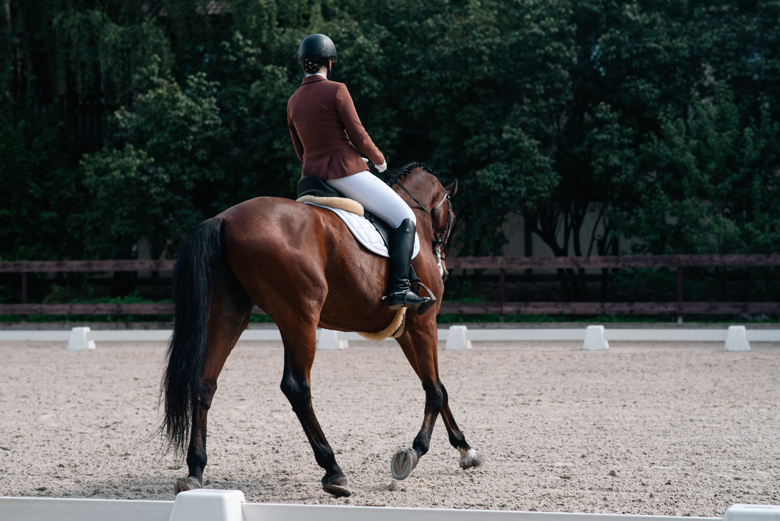Выездка 10.08.25. Фотограф, визажист. Москва
