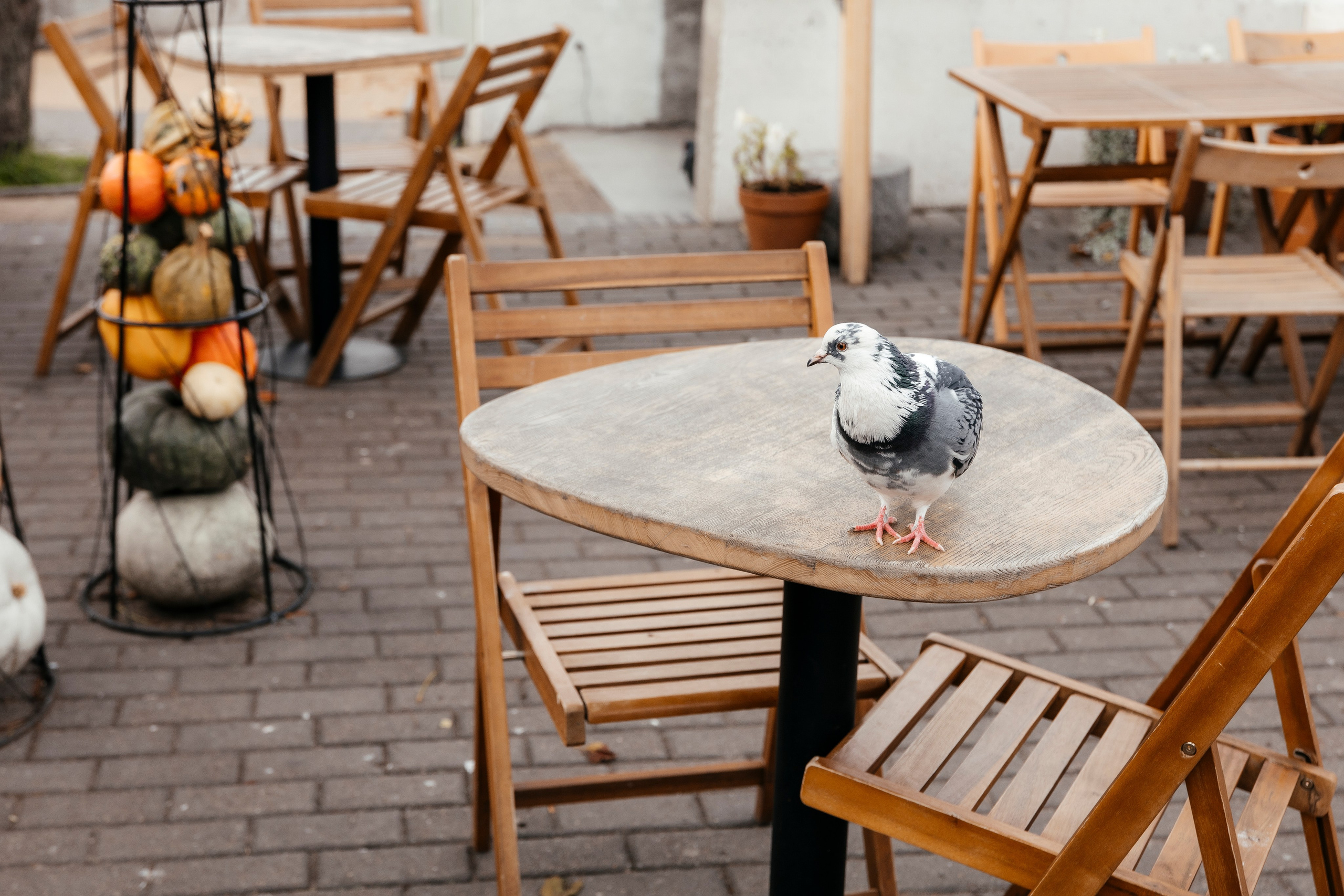 Подружки. Свадебный и портретный фотограф в Калининграде Наталия Еник