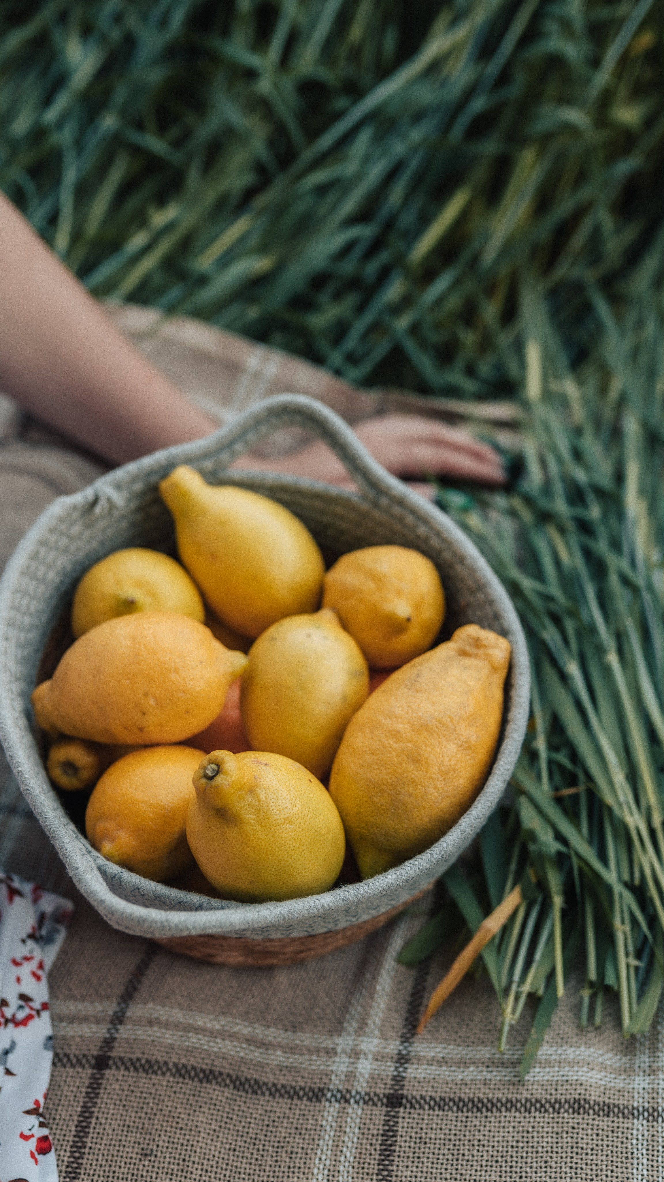 Карина. Фотограф в Дзержинске Наташа Баева