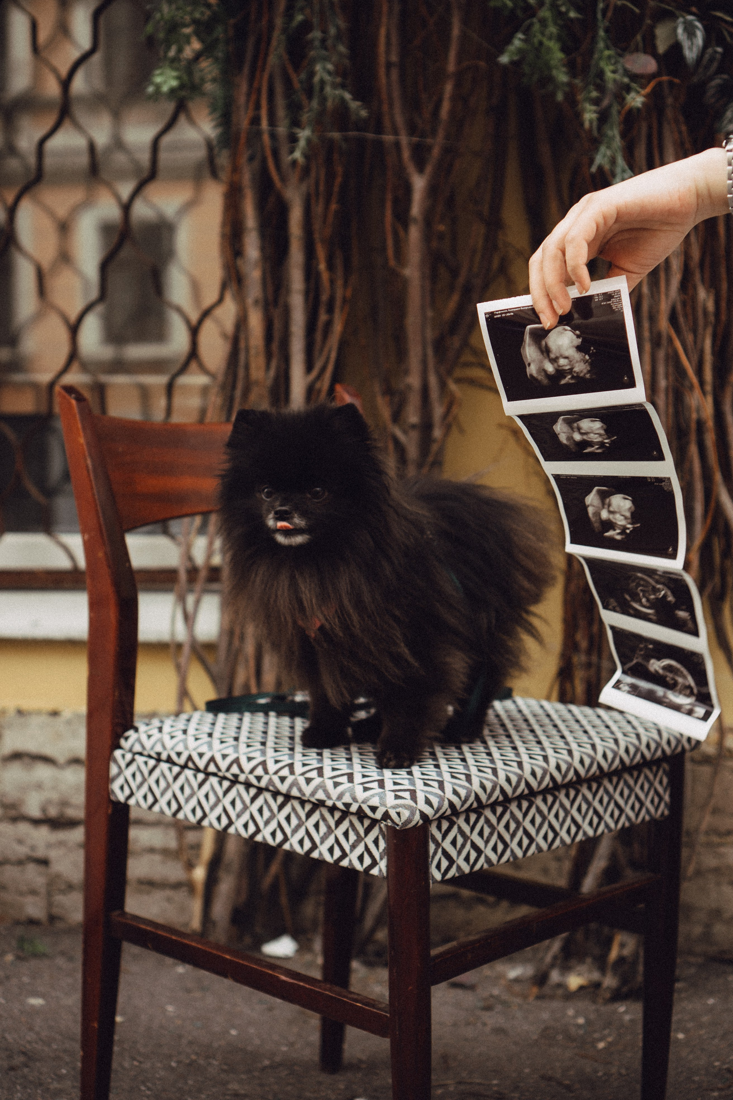 Беременность (только часть фото по желанию клиентов могу показать)). Профессиональный фотограф, Санкт-Петербург — Виктория Богомолова