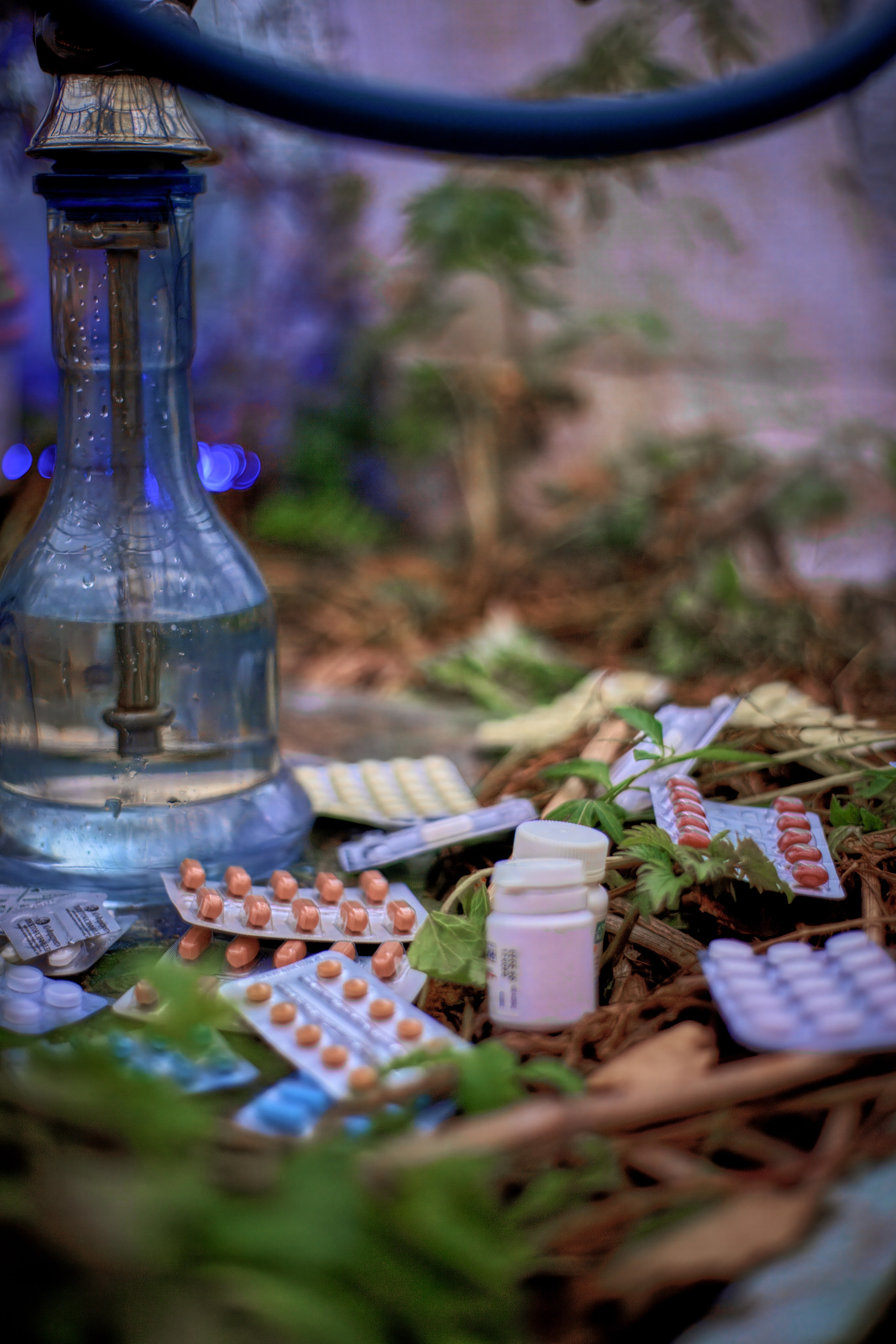 Алиса. Наше время. Фотограф в Южно-Сахалинске Гусаков Евгений