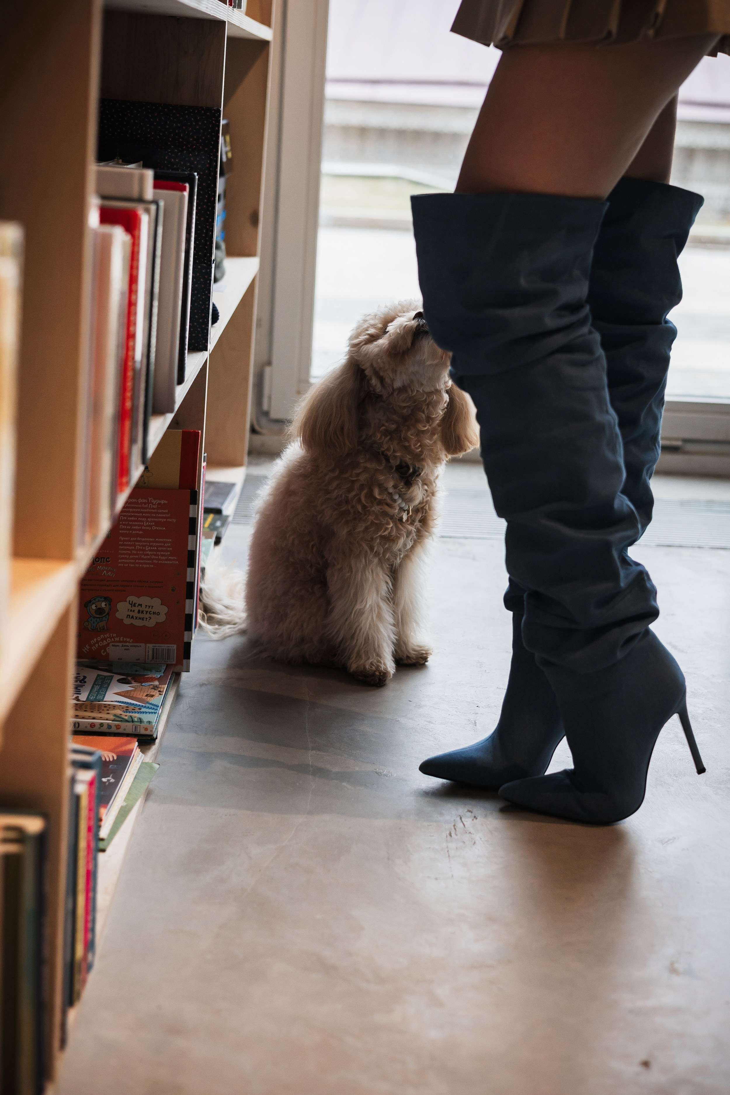 Алина — прогулка