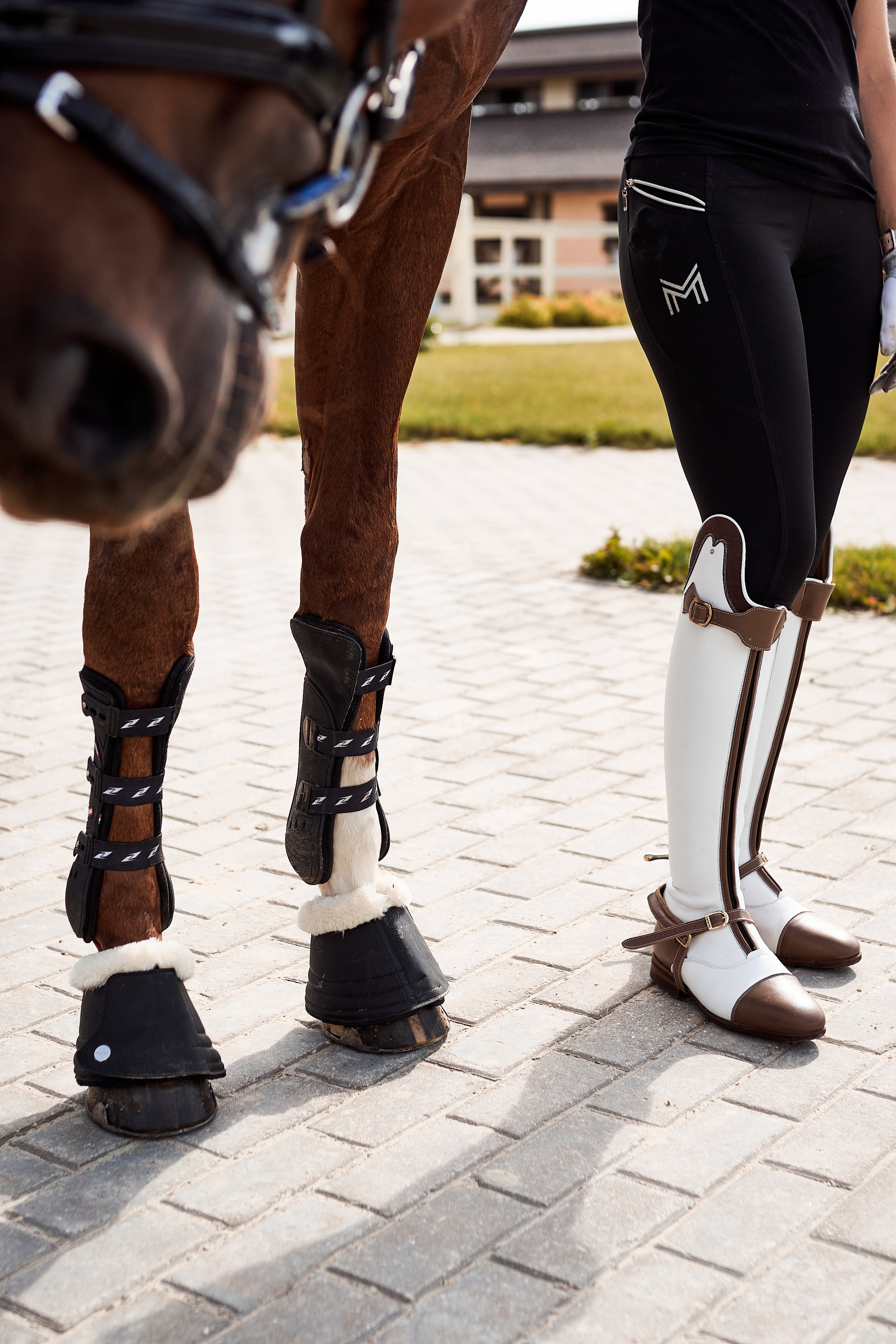 Карина и Нью Романс. Фотосессии с лошадьми в Москве, Новосибирске