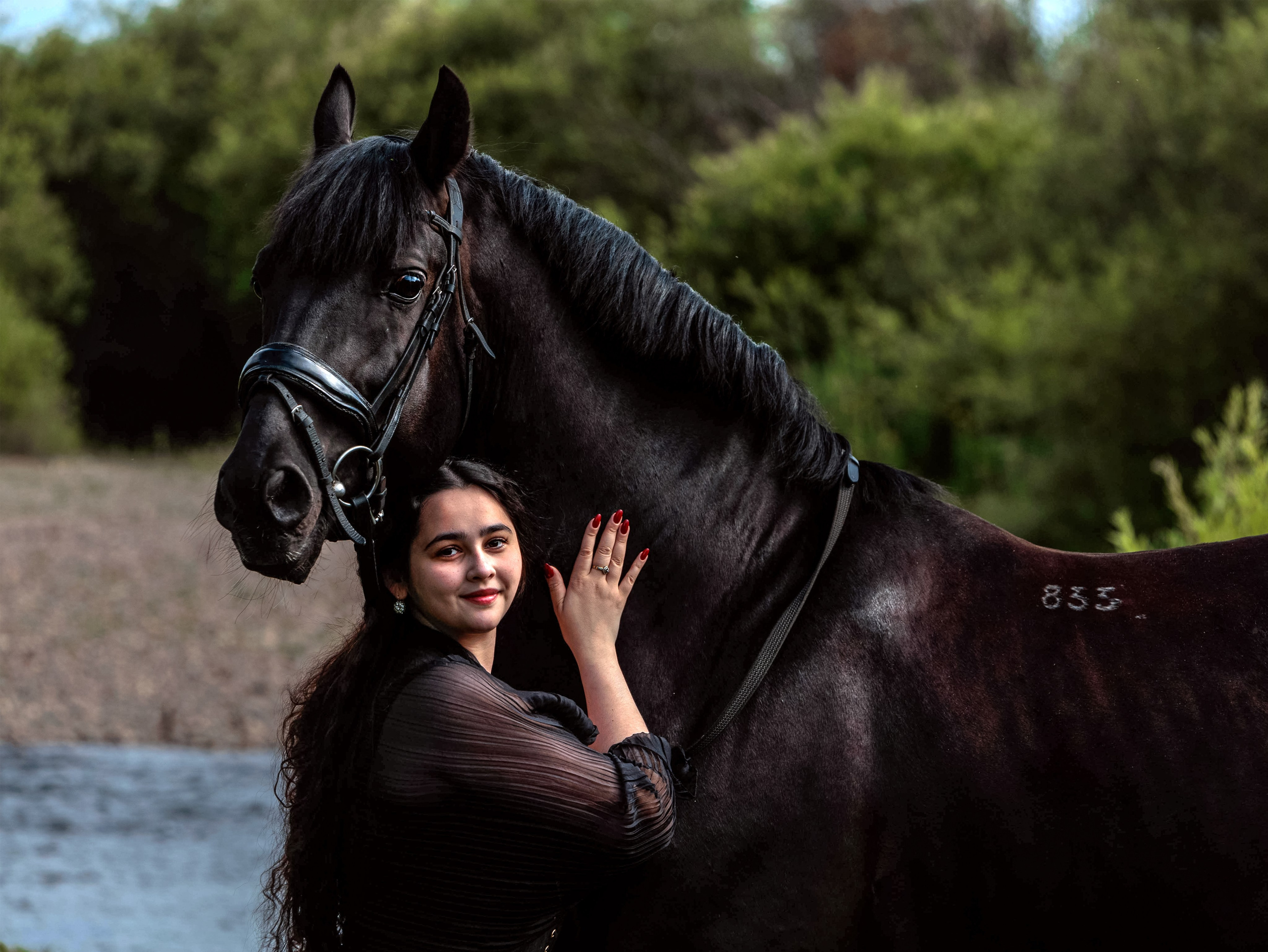 Лошади Емельяново. Конный фотограф в Красноярске — Любовь Похабова