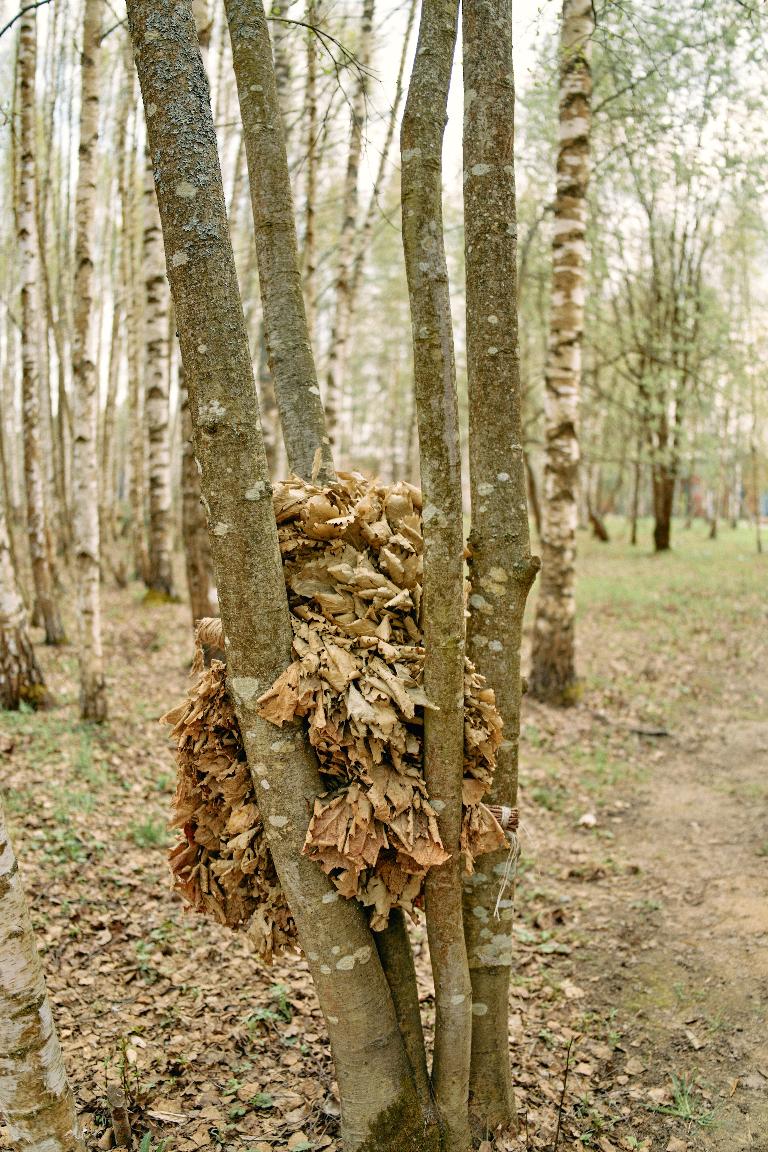 Бутик-отель Поле летом. Профессиональный Фотограф во Владимире, в Москве и в Суздале — Полина Романычева